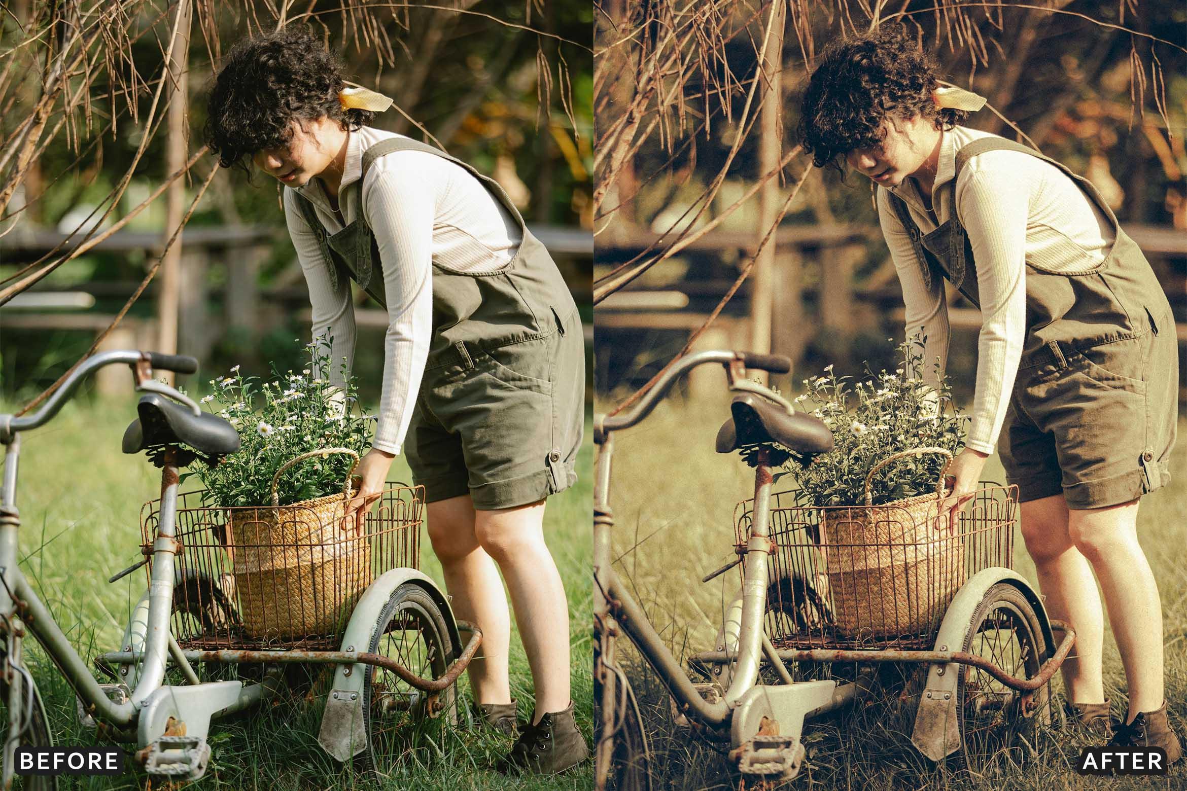 Farm Rustic Lightroom Presets: Enhance Your Rural Photography - Lightroom Presets - by AAA Presets