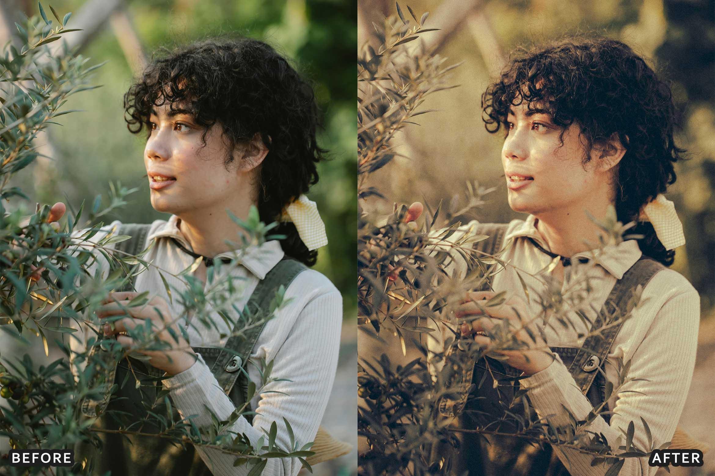 Farm Rustic Lightroom Presets: Enhance Your Rural Photography - Lightroom Presets - by AAA Presets