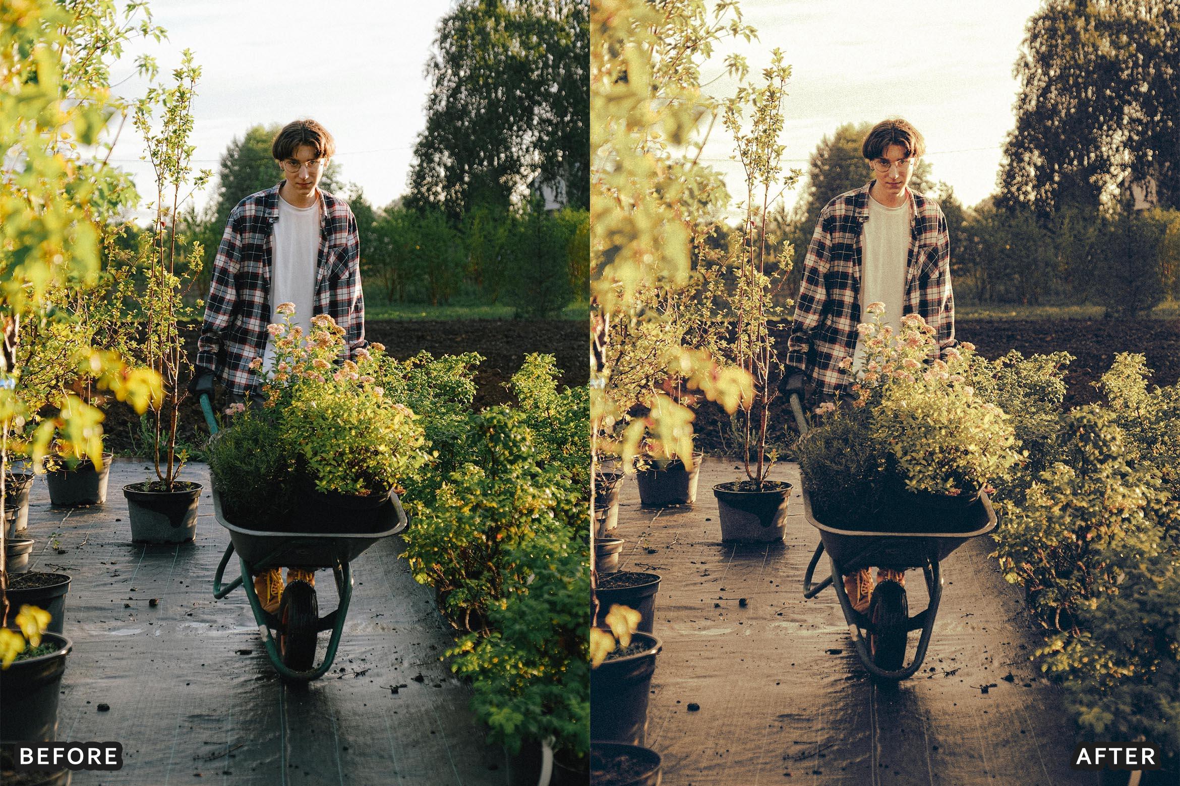 Farm Rustic Lightroom Presets: Enhance Your Rural Photography - Lightroom Presets - by AAA Presets