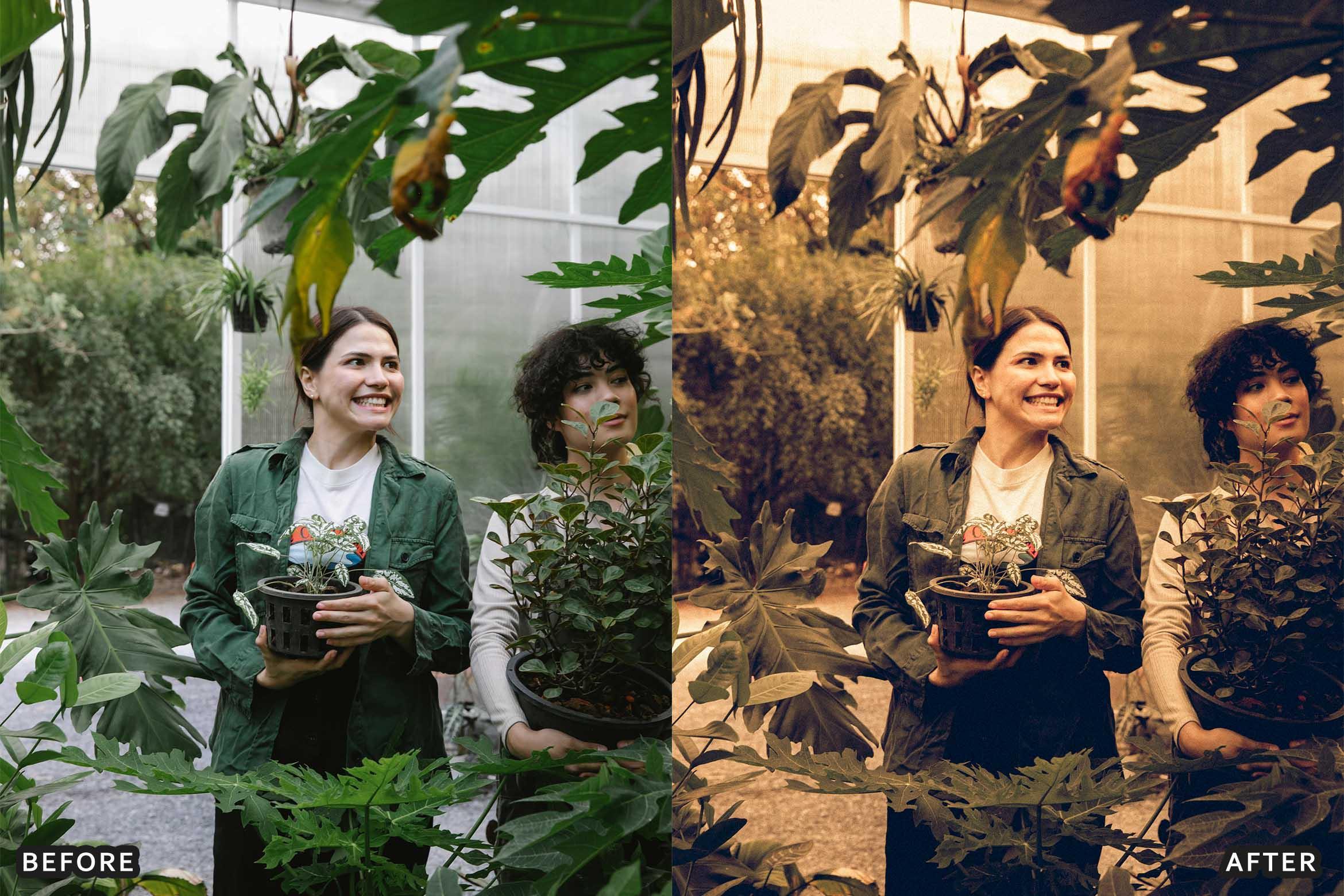 Farm Rustic Lightroom Presets: Enhance Your Rural Photography - Lightroom Presets - by AAA Presets