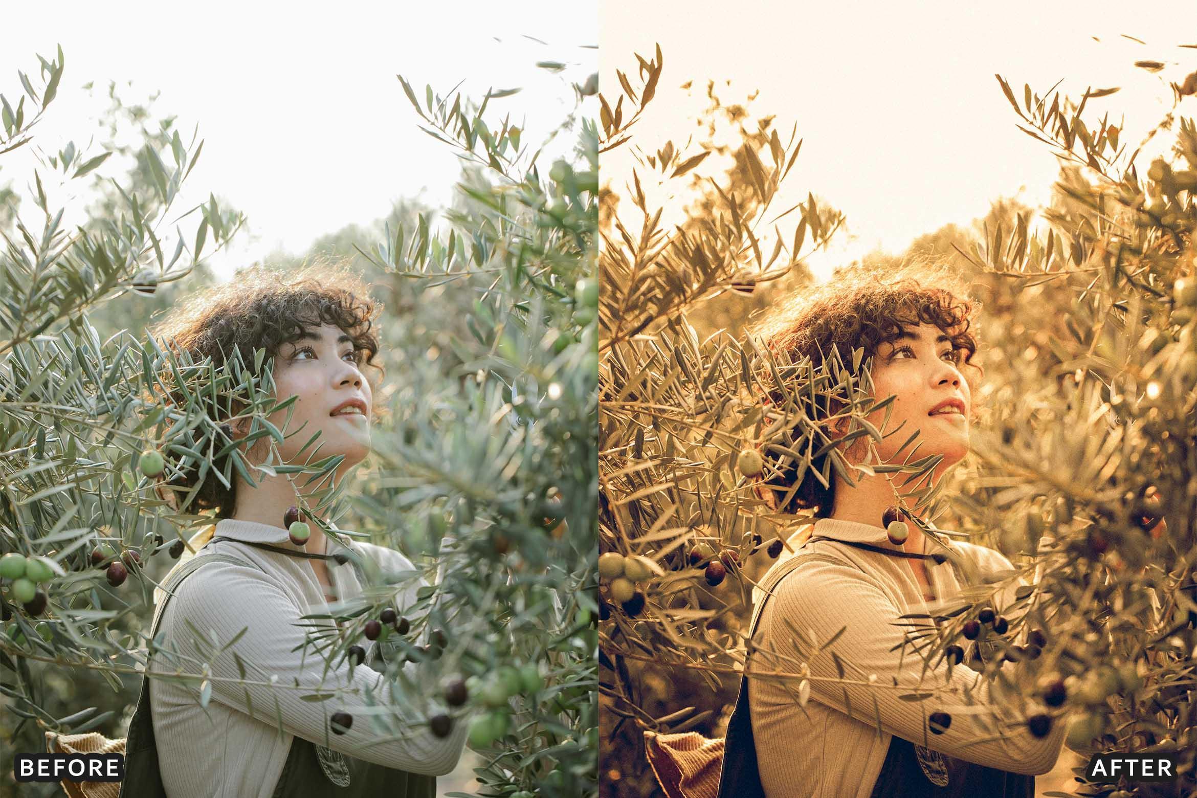 Farm Rustic Lightroom Presets: Enhance Your Rural Photography - Lightroom Presets - by AAA Presets