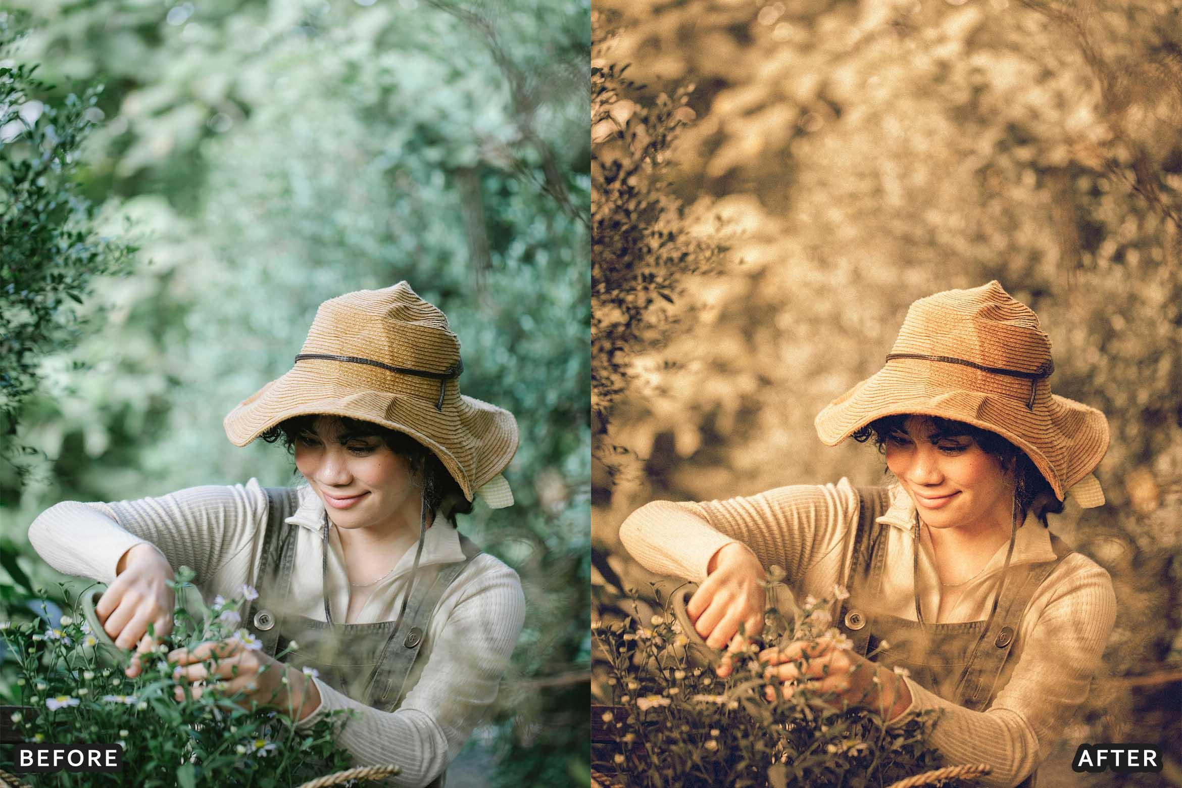 Farm Rustic Lightroom Presets: Enhance Your Rural Photography - Lightroom Presets - by AAA Presets