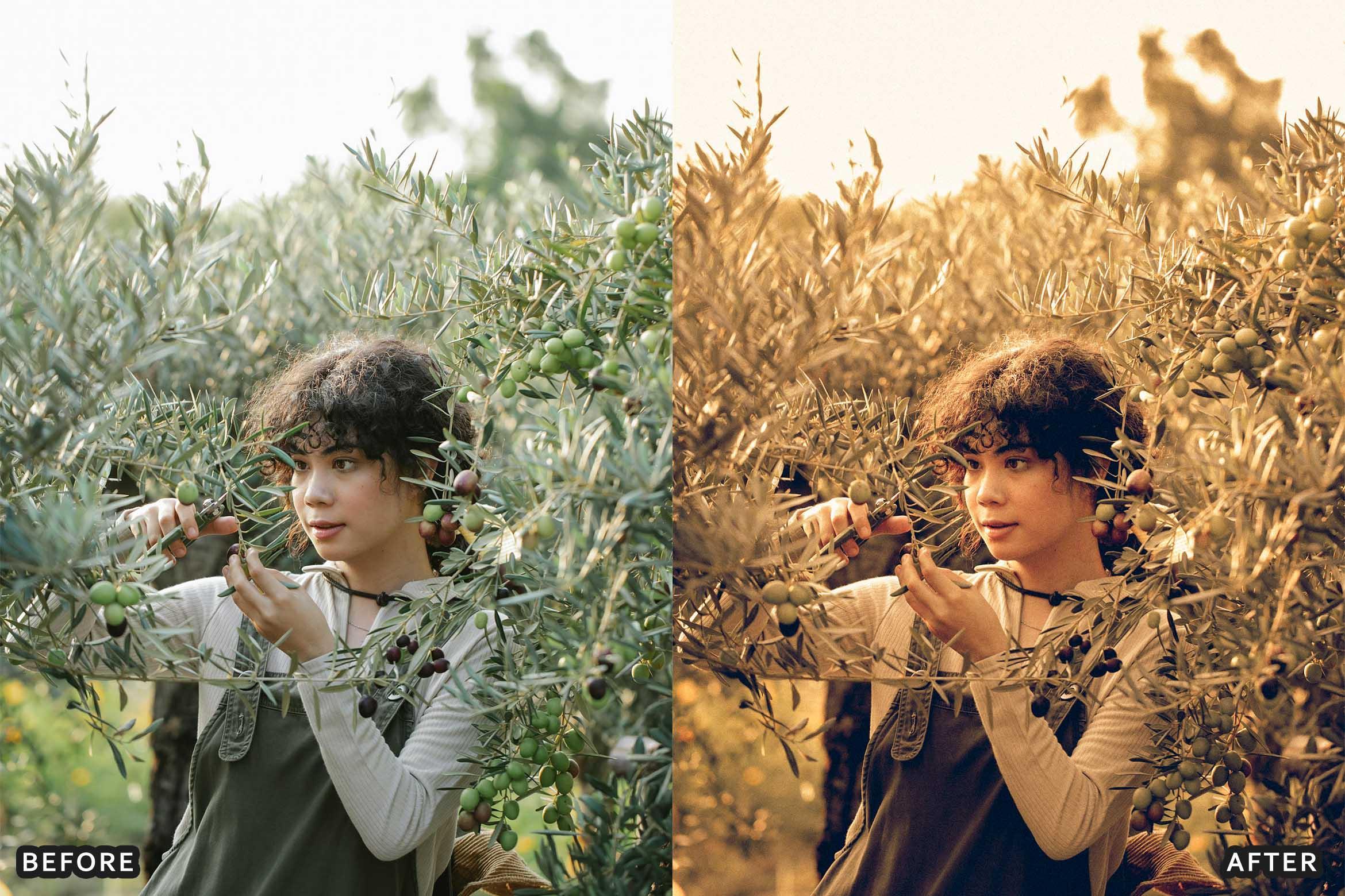 Farm Rustic Lightroom Presets: Enhance Your Rural Photography - Lightroom Presets - by AAA Presets
