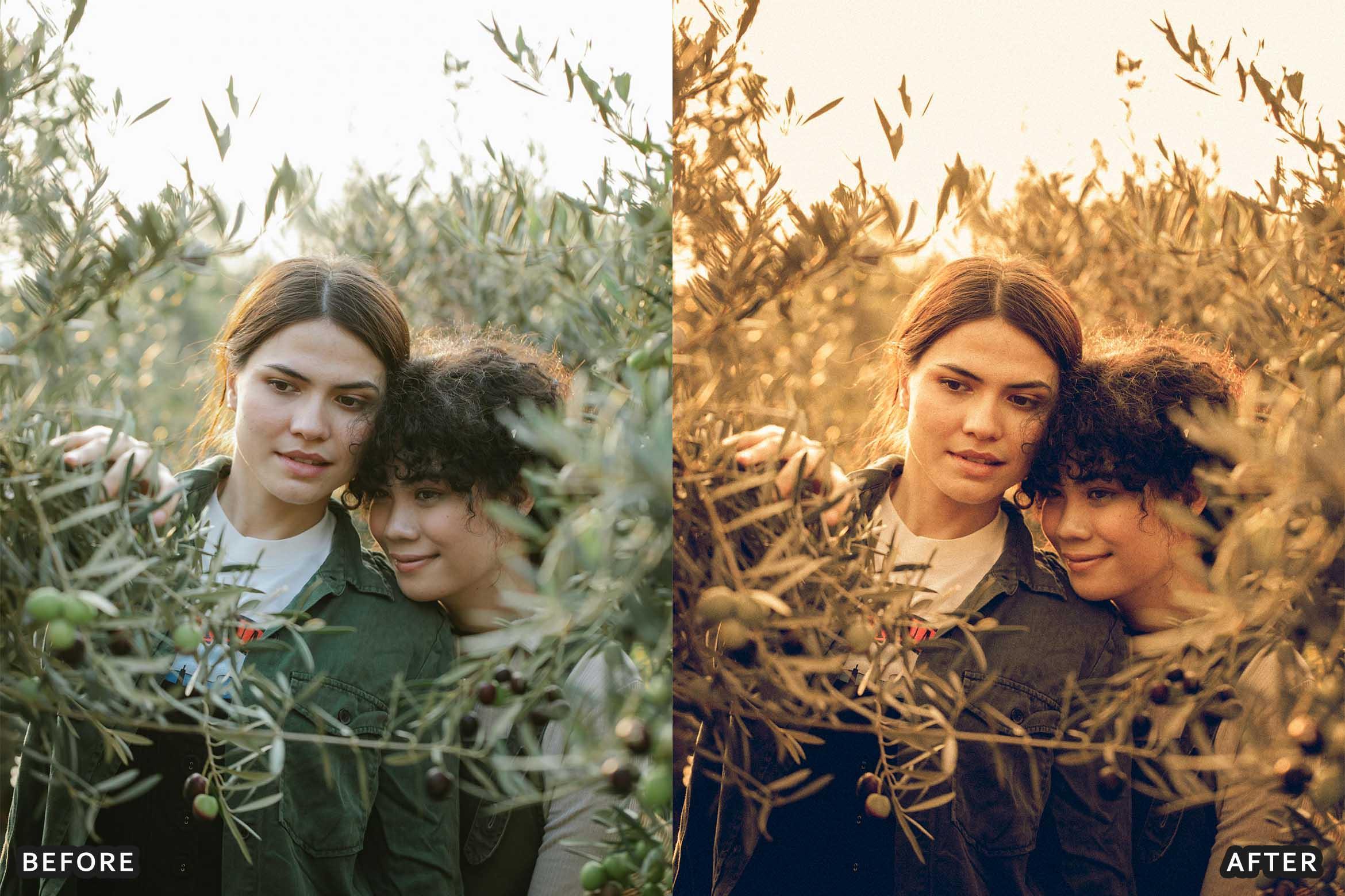 Farm Rustic Lightroom Presets: Enhance Your Rural Photography - Lightroom Presets - by AAA Presets