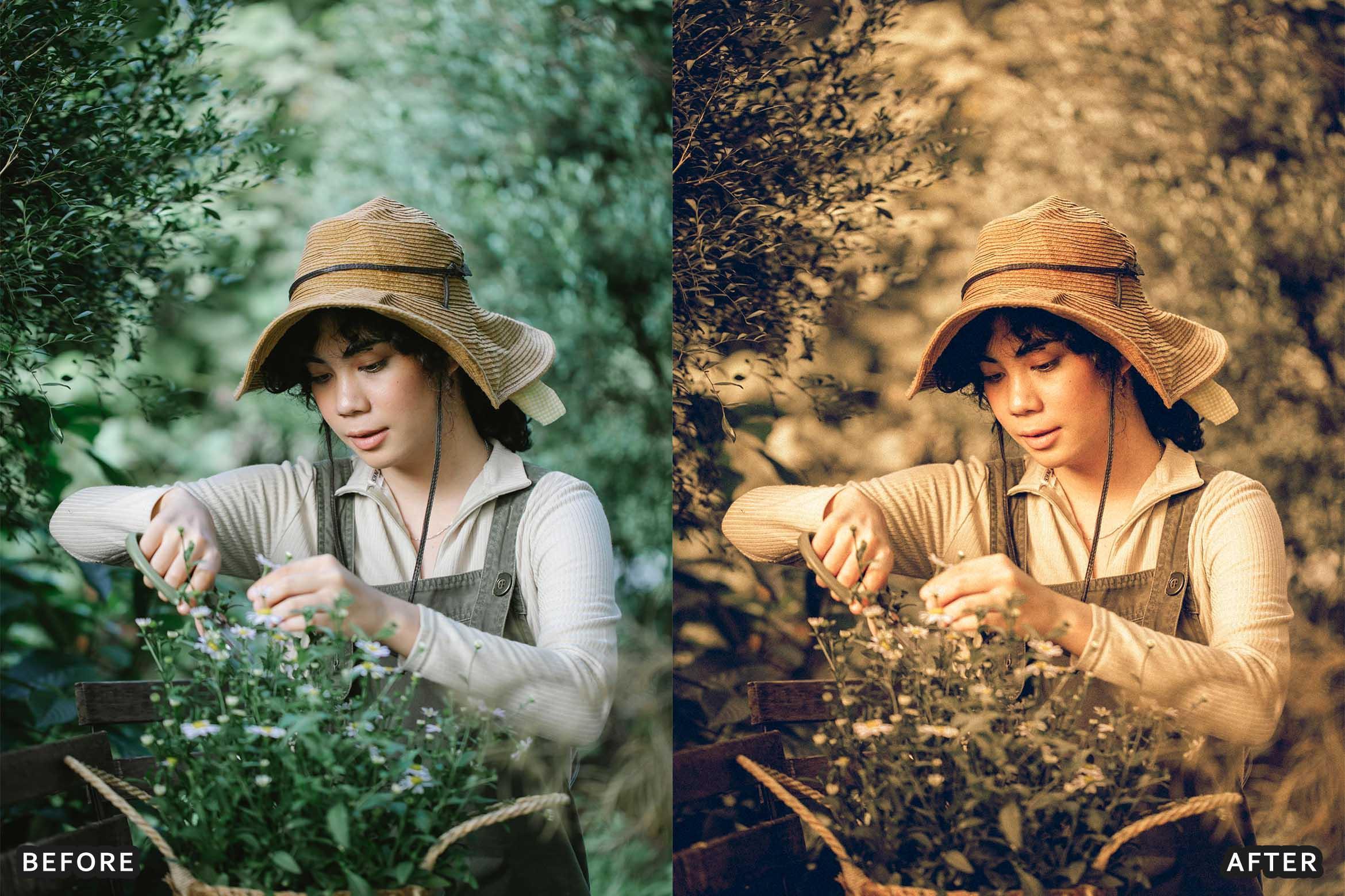 Farm Rustic Lightroom Presets: Enhance Your Rural Photography - Lightroom Presets - by AAA Presets