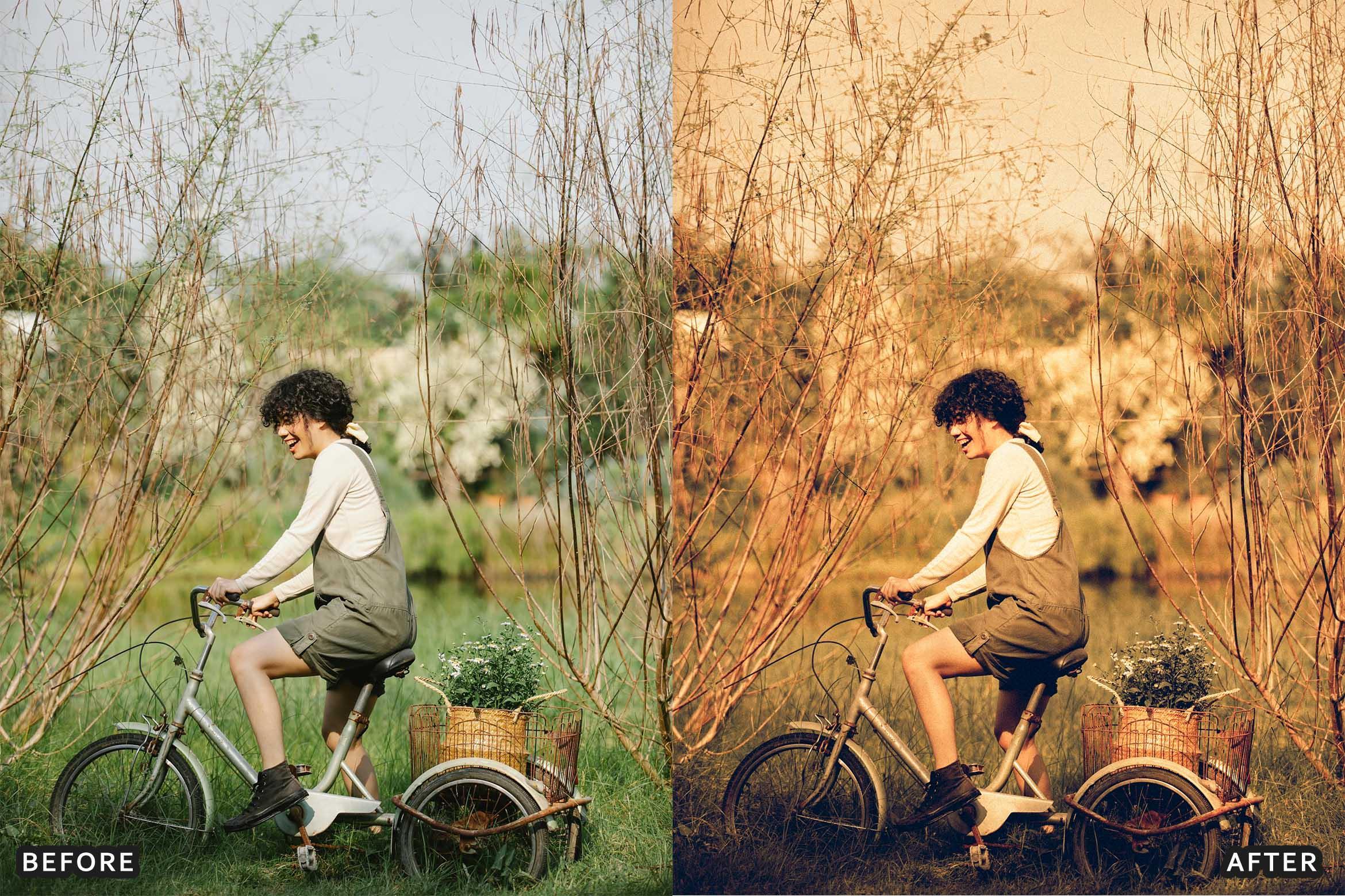 Farm Rustic Lightroom Presets: Enhance Your Rural Photography - Lightroom Presets - by AAA Presets