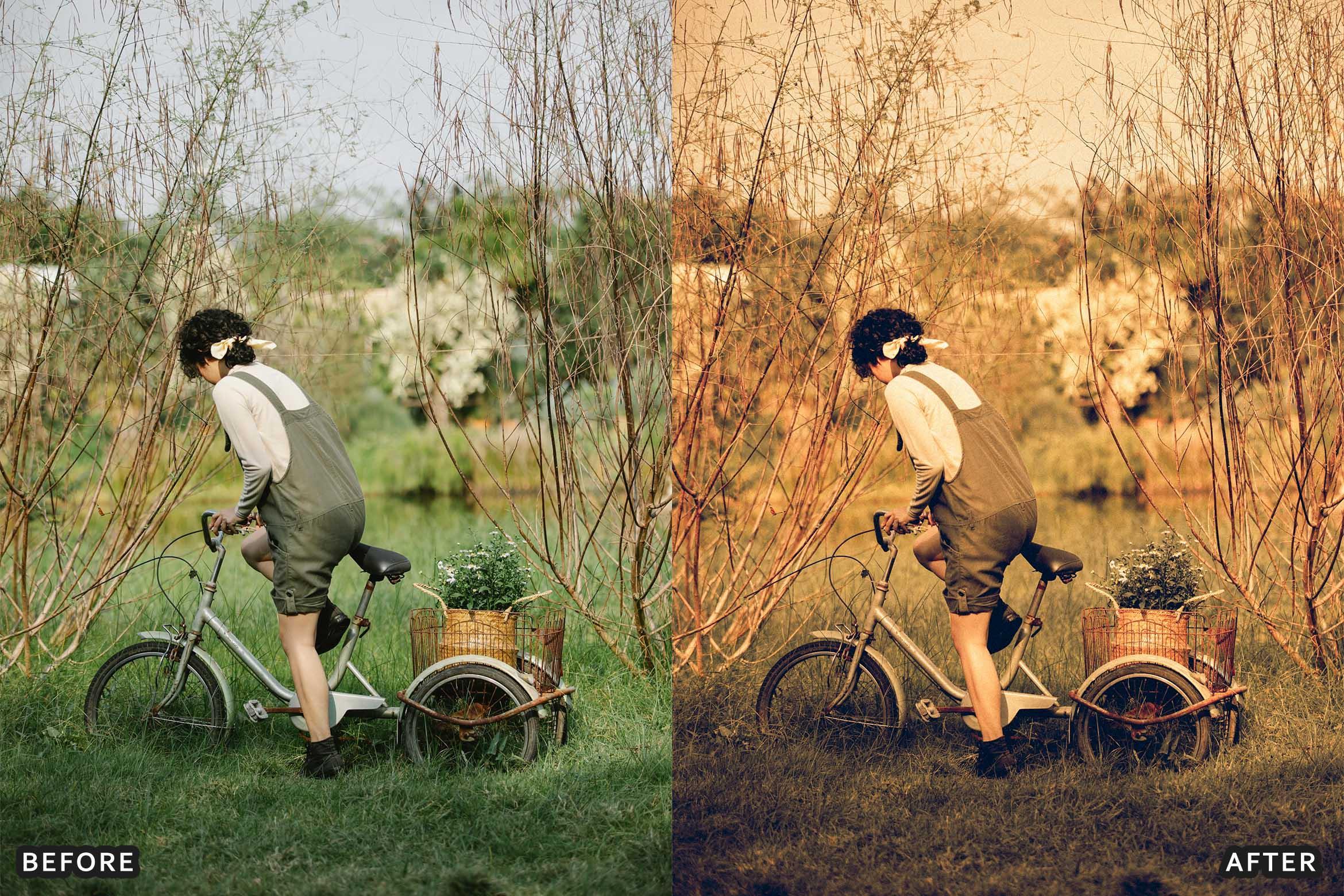 Farm Rustic Lightroom Presets: Enhance Your Rural Photography - Lightroom Presets - by AAA Presets
