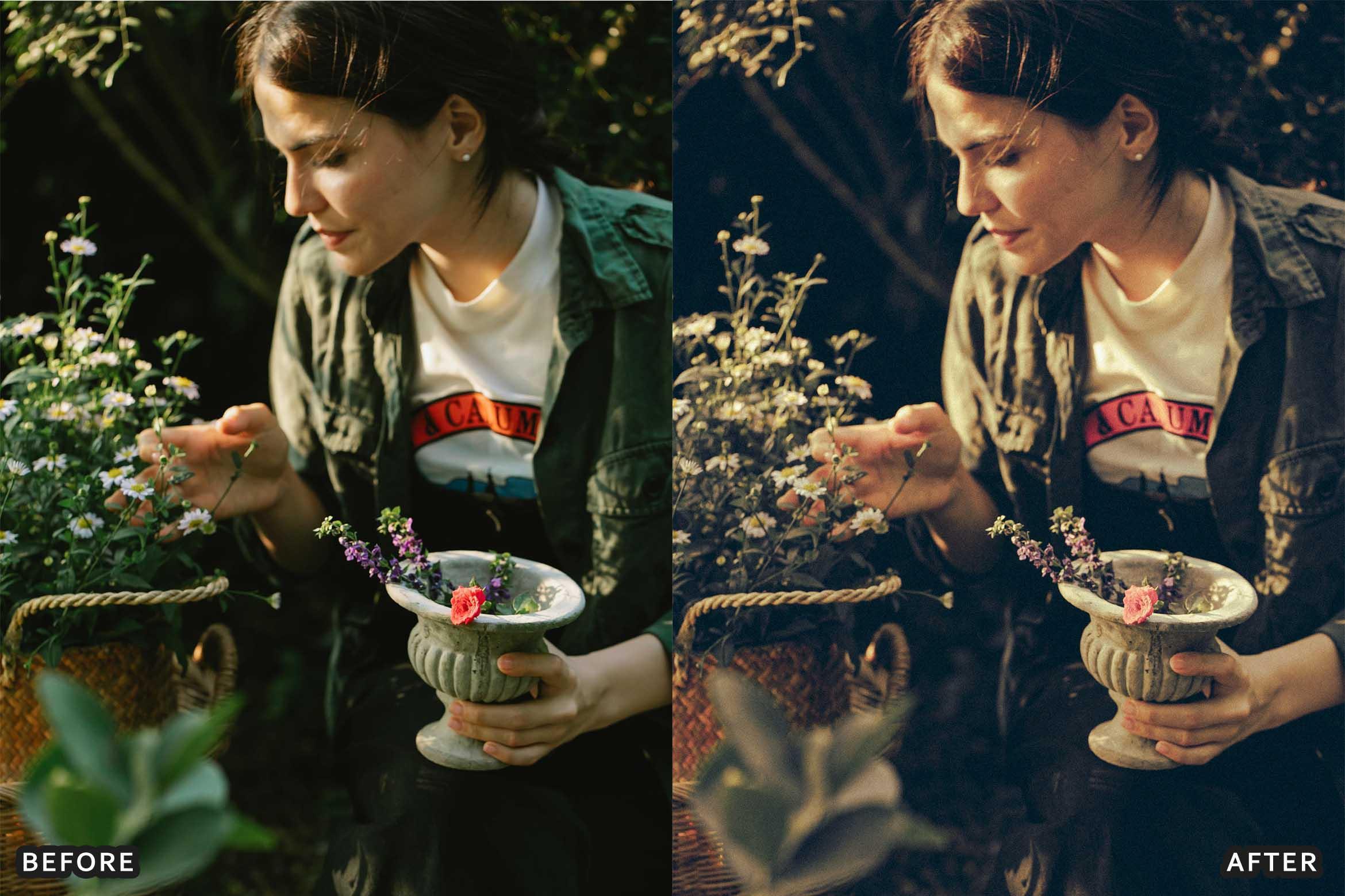 Farm Rustic Lightroom Presets: Enhance Your Rural Photography - Lightroom Presets - by AAA Presets