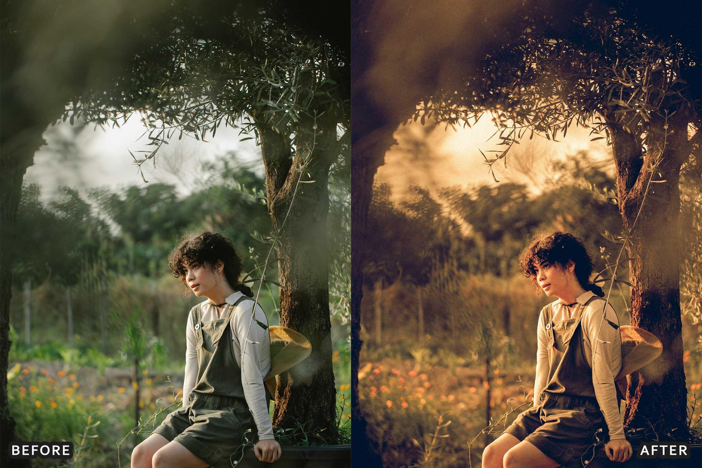 Farm Rustic Lightroom Presets: Enhance Your Rural Photography - Lightroom Presets - by AAA Presets