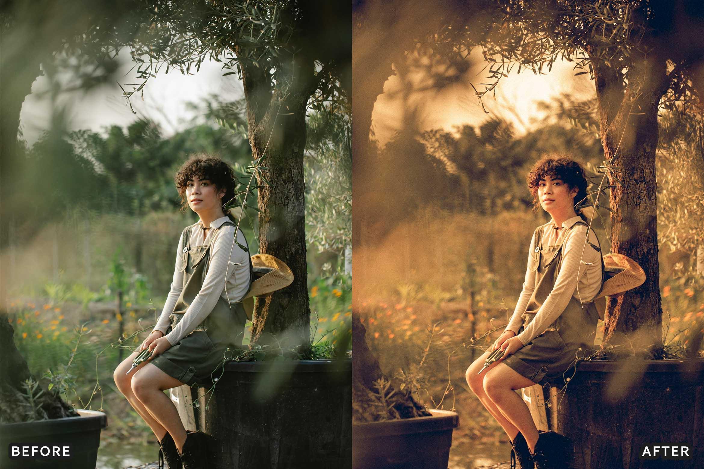 Farm Rustic Lightroom Presets: Enhance Your Rural Photography - Lightroom Presets - by AAA Presets