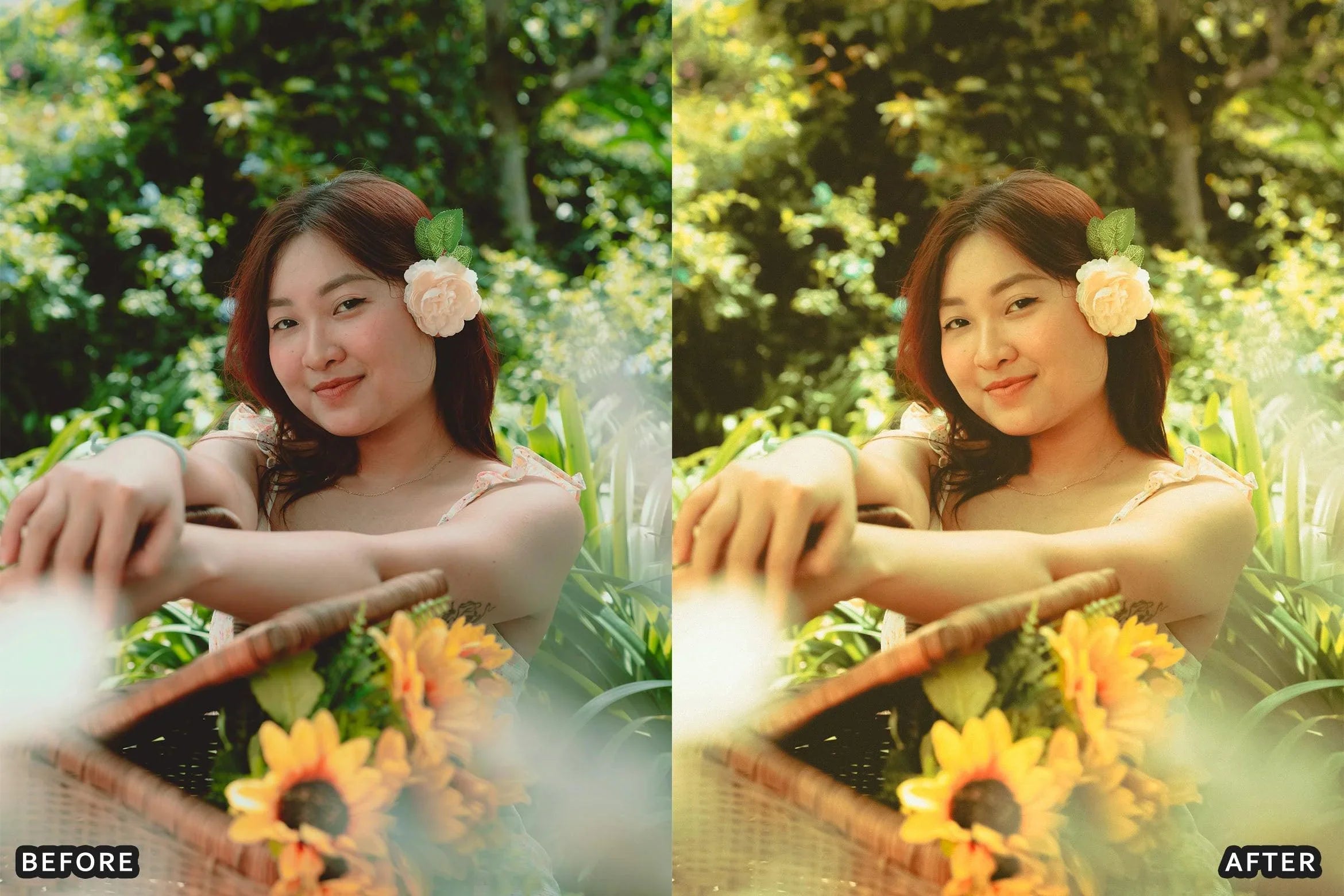 Fujifilm Pro Lightroom Presets Pack - Lightroom Presets - by AAA Presets