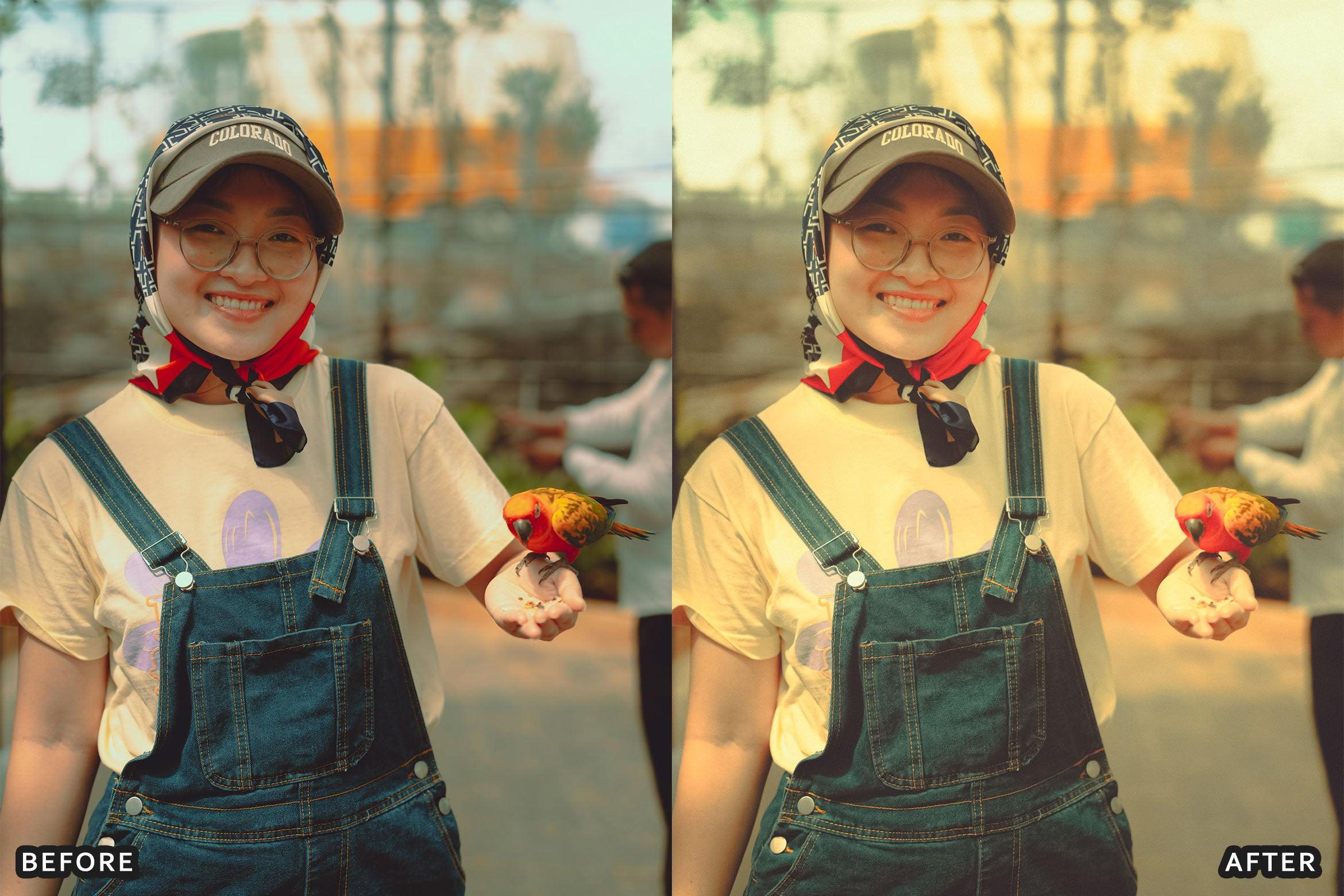 Fujifilm Pro Lightroom Presets Pack - Lightroom Presets - by AAA Presets