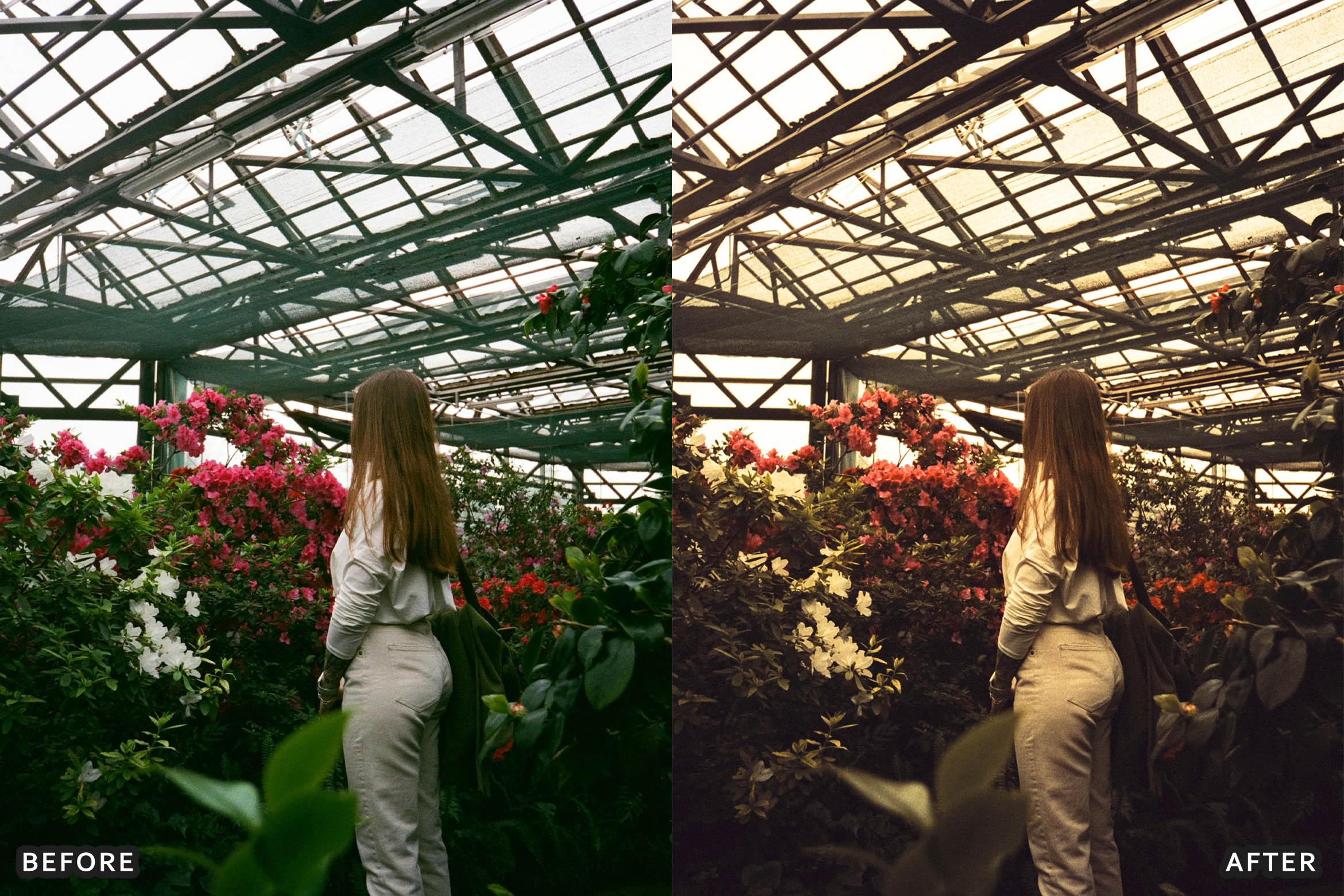 Golden Film Cinematic Lightroom Presets - Lightroom Presets - by AAA Presets