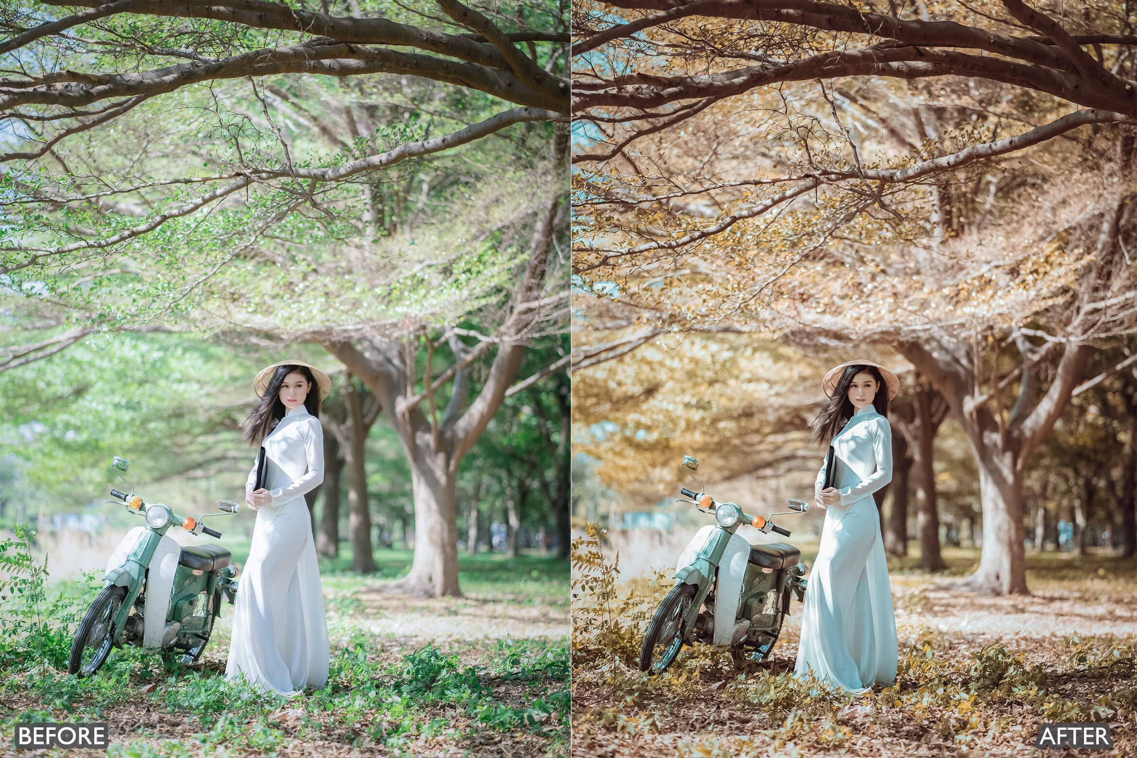 Golden Hour Lightroom Presets - Lightroom Presets - by AAA Presets