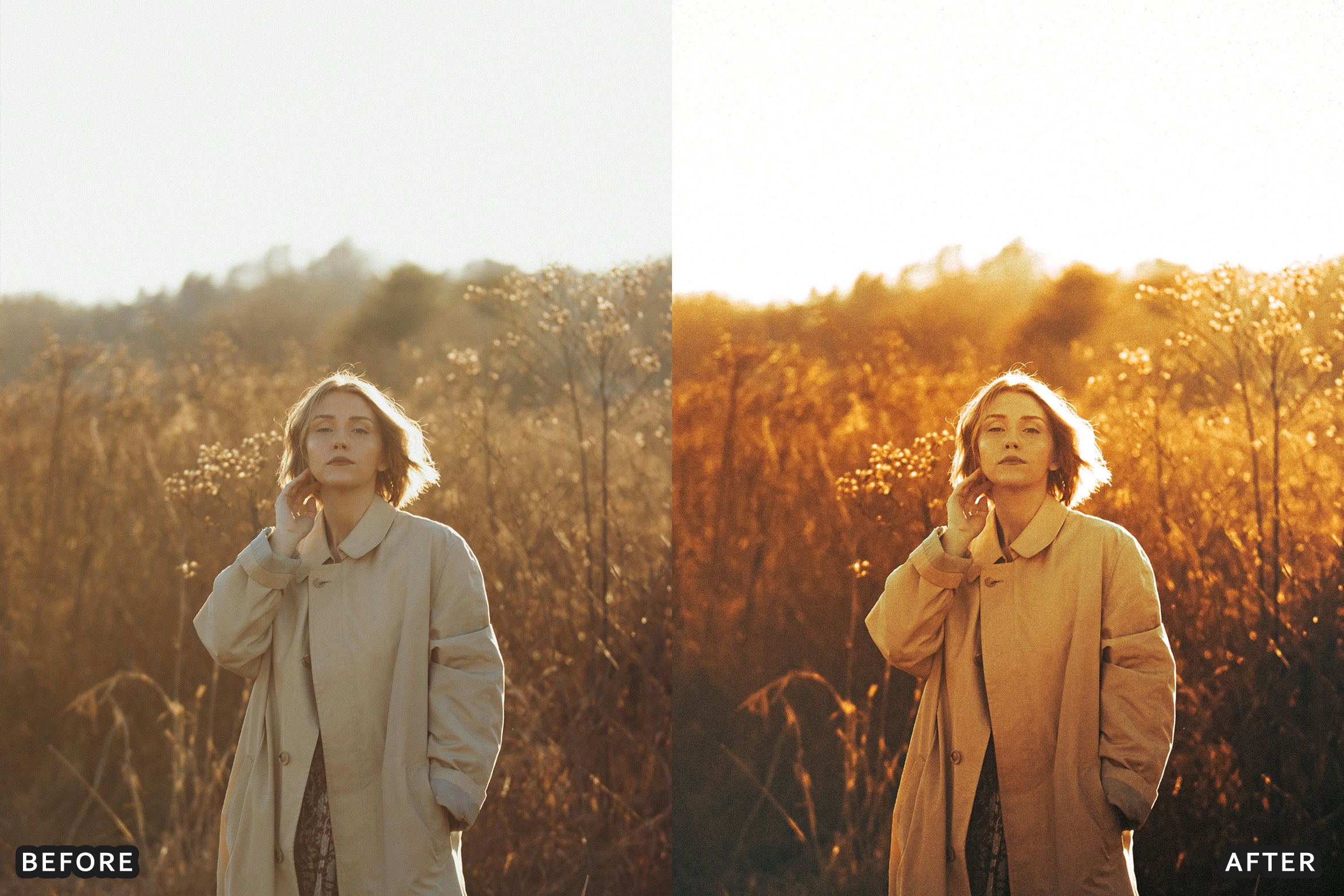 AI-Optimized Golden Fashion Lightroom Presets - Lightroom Presets - by AAA Presets