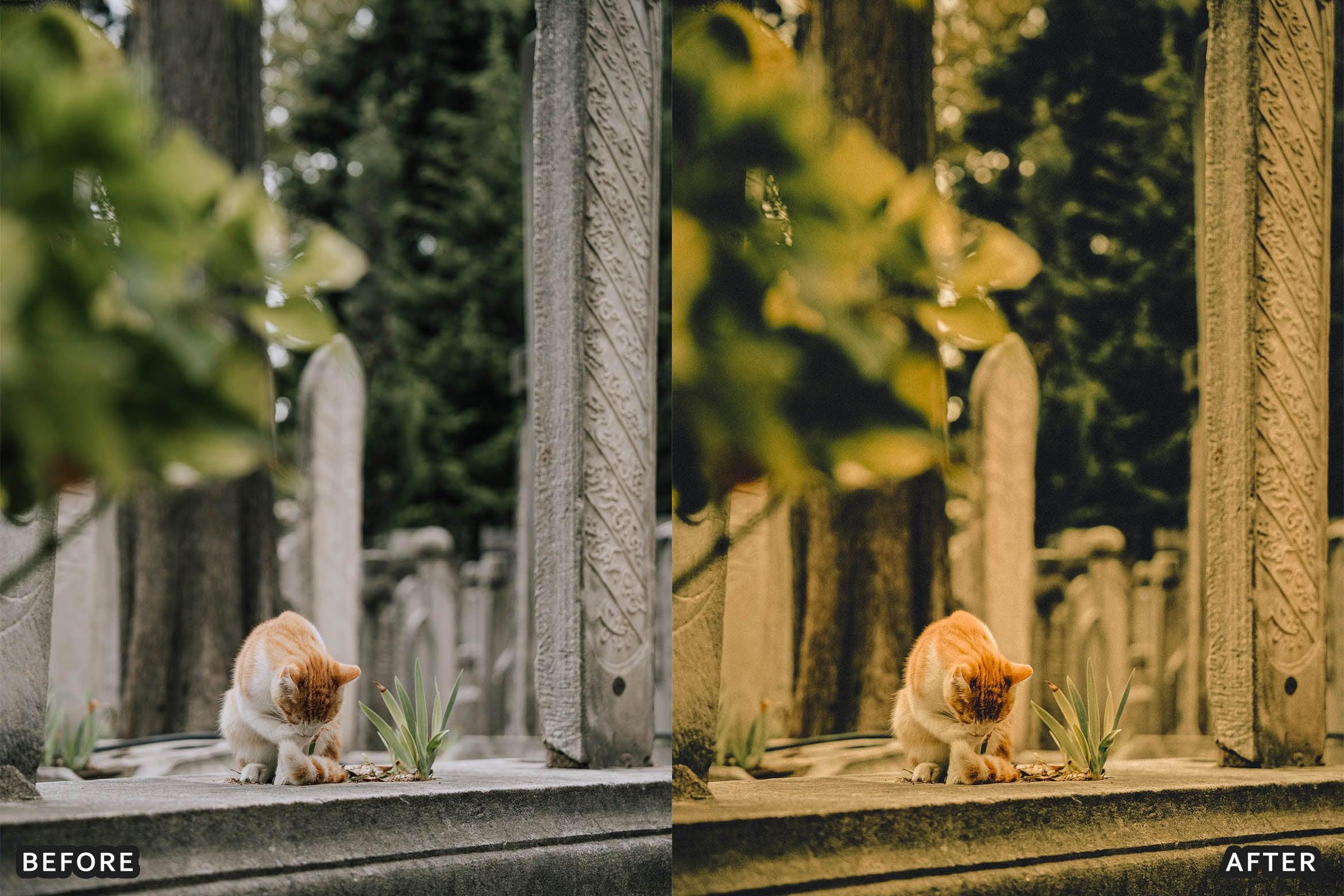 Hollywood Street Movie Landscape Presets For Lightroom - Lightroom Presets - by AAA Presets