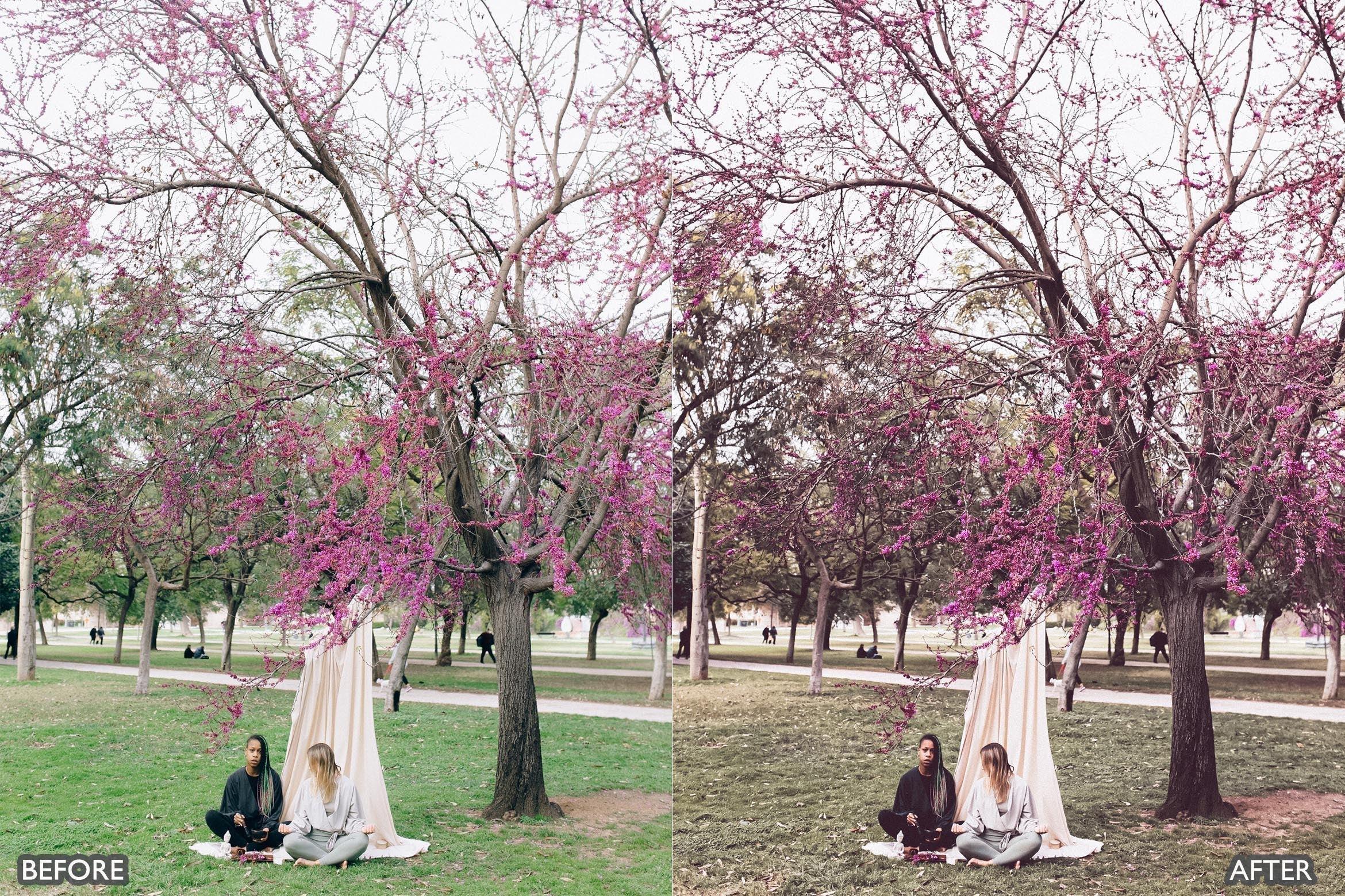 Insta Green Lightroom Presets - Lightroom Presets - by AAA Presets