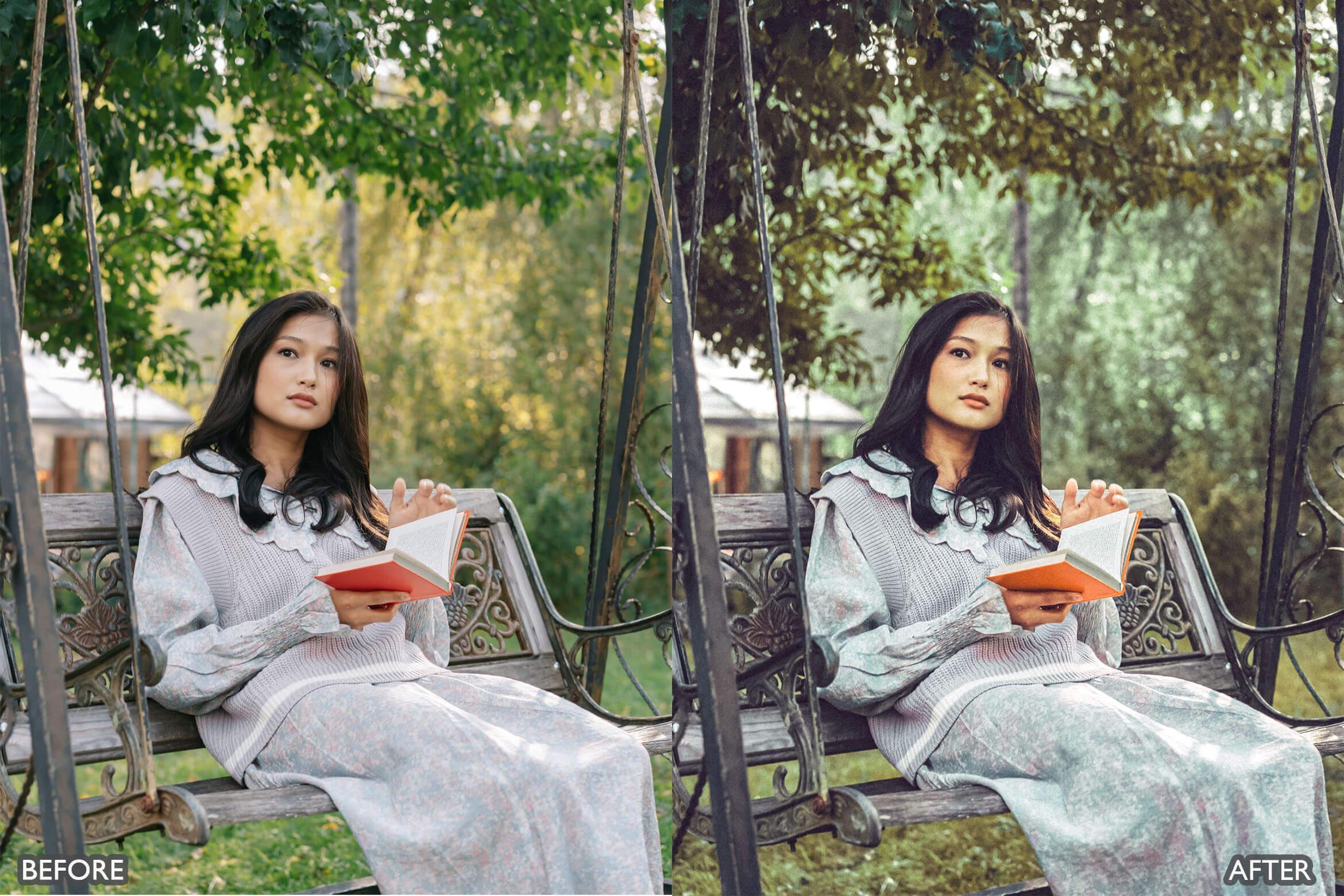 Japan Tones Cinematic Lightroom Presets - Lightroom Presets - by AAA Presets