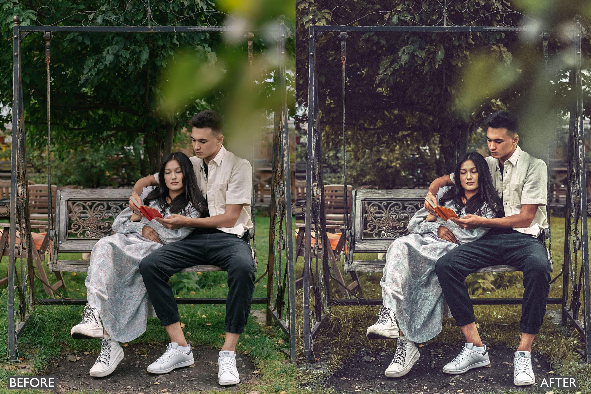 Japan Tones Cinematic Lightroom Presets - Lightroom Presets - by AAA Presets