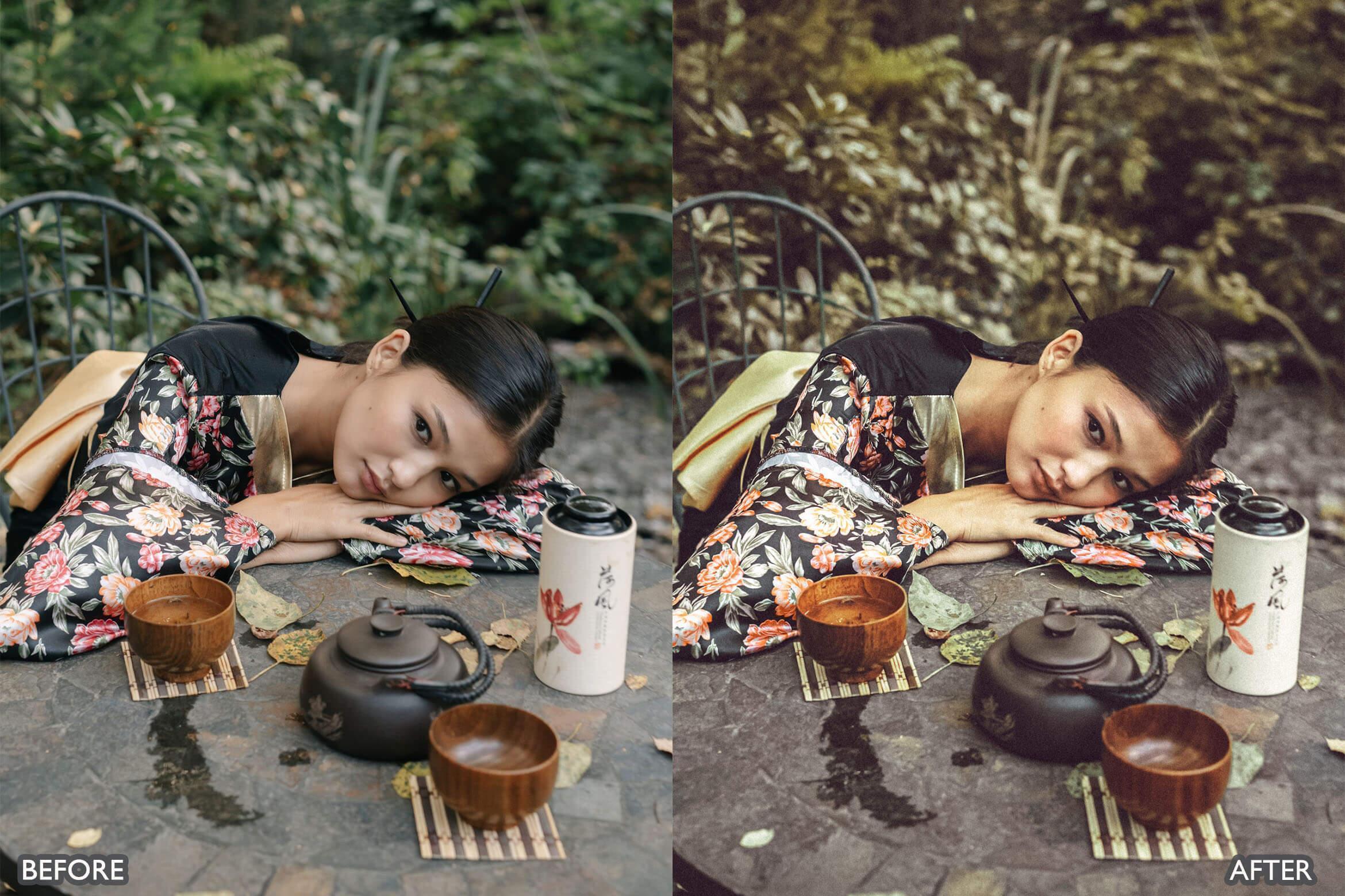 Japan Tones Cinematic Lightroom Presets - Lightroom Presets - by AAA Presets