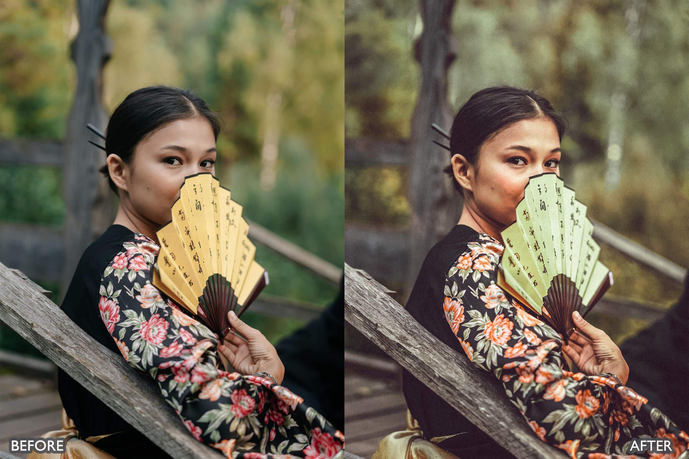 Japan Tones Cinematic Lightroom Presets - Lightroom Presets - by AAA Presets