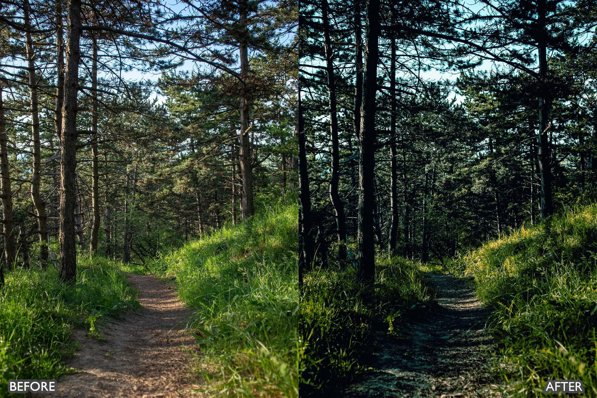Landscape and Nature Dark Green Lightroom Presets - Lightroom Presets - by AAA Presets