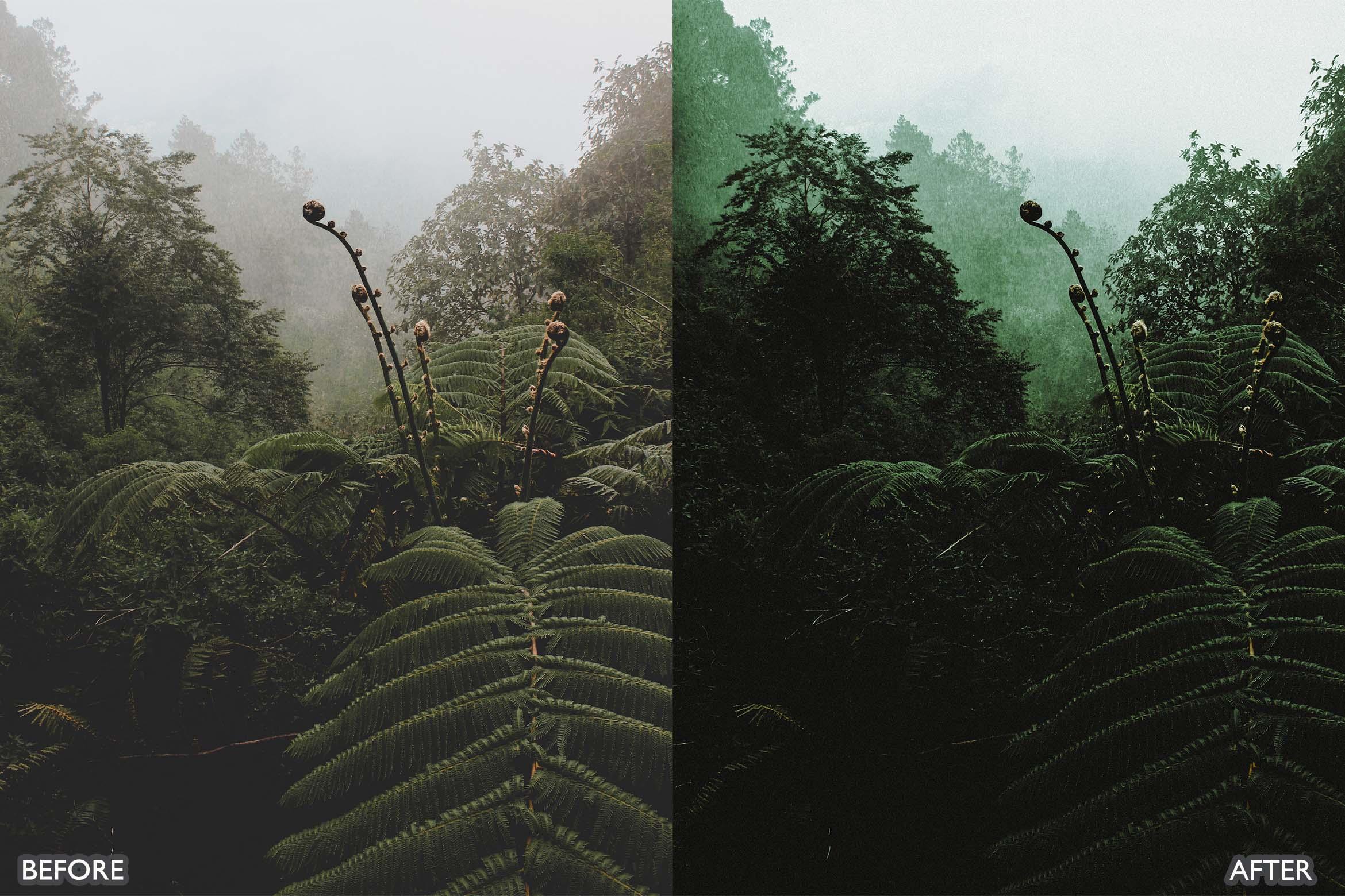 Landscape and Nature Dark Green Lightroom Presets - Lightroom Presets - by AAA Presets