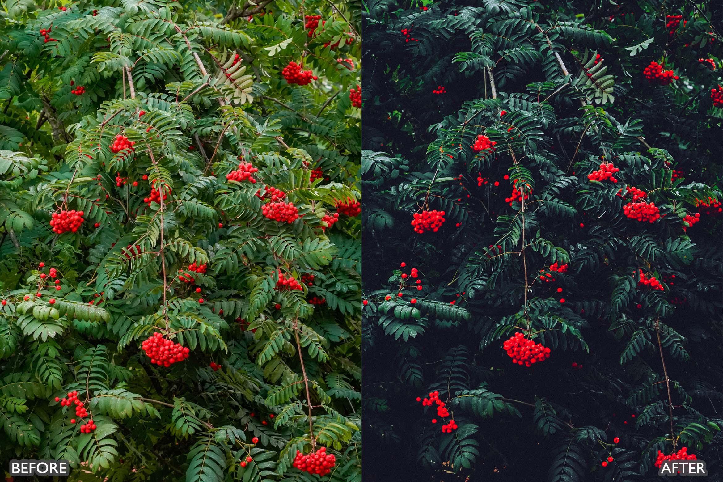 Landscape and Nature Dark Green Lightroom Presets - Lightroom Presets - by AAA Presets