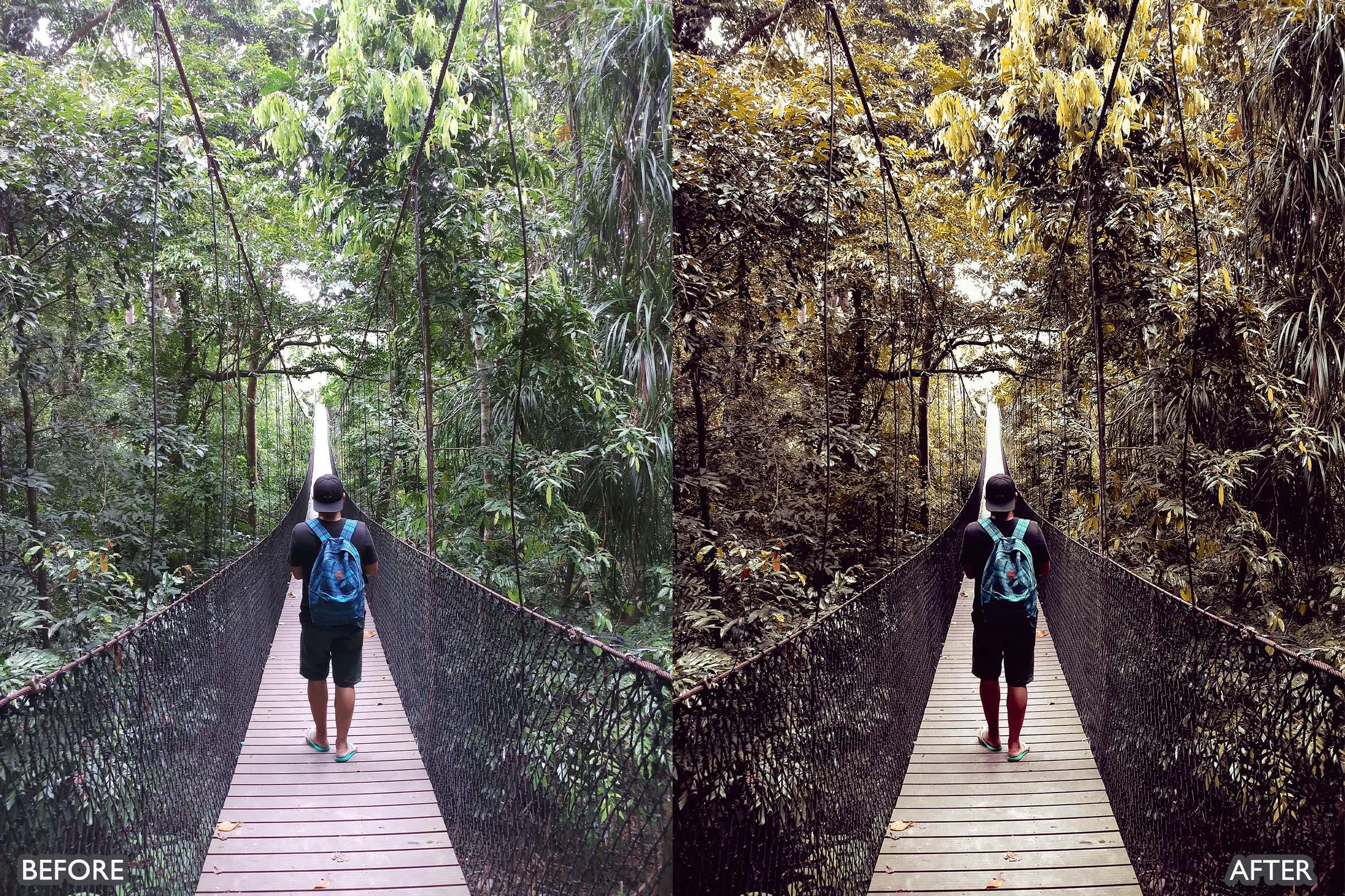 Landscape and Nature Dark Green Lightroom Presets - Lightroom Presets - by AAA Presets