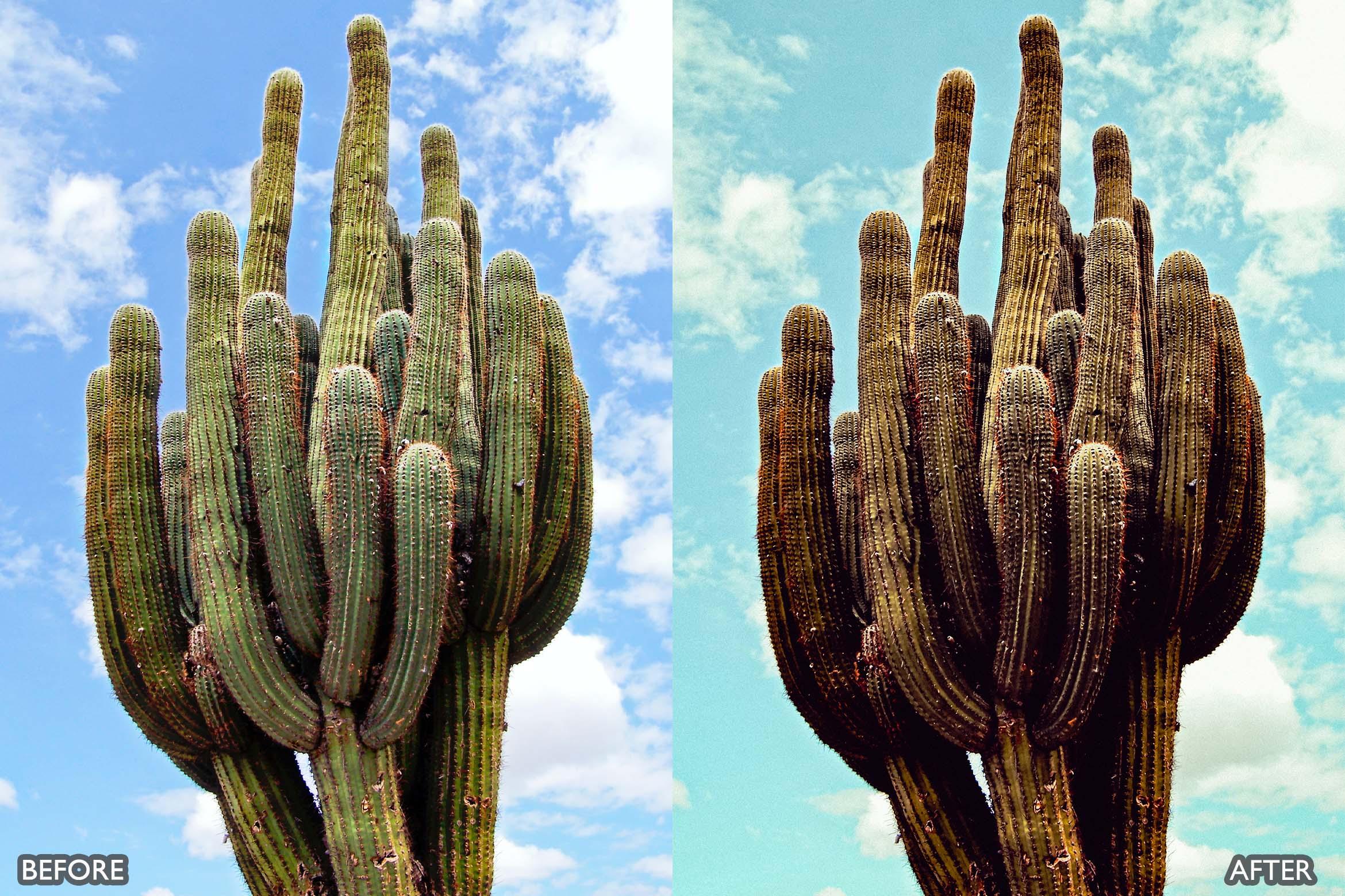 Landscape and Nature Dark Green Lightroom Presets - Lightroom Presets - by AAA Presets