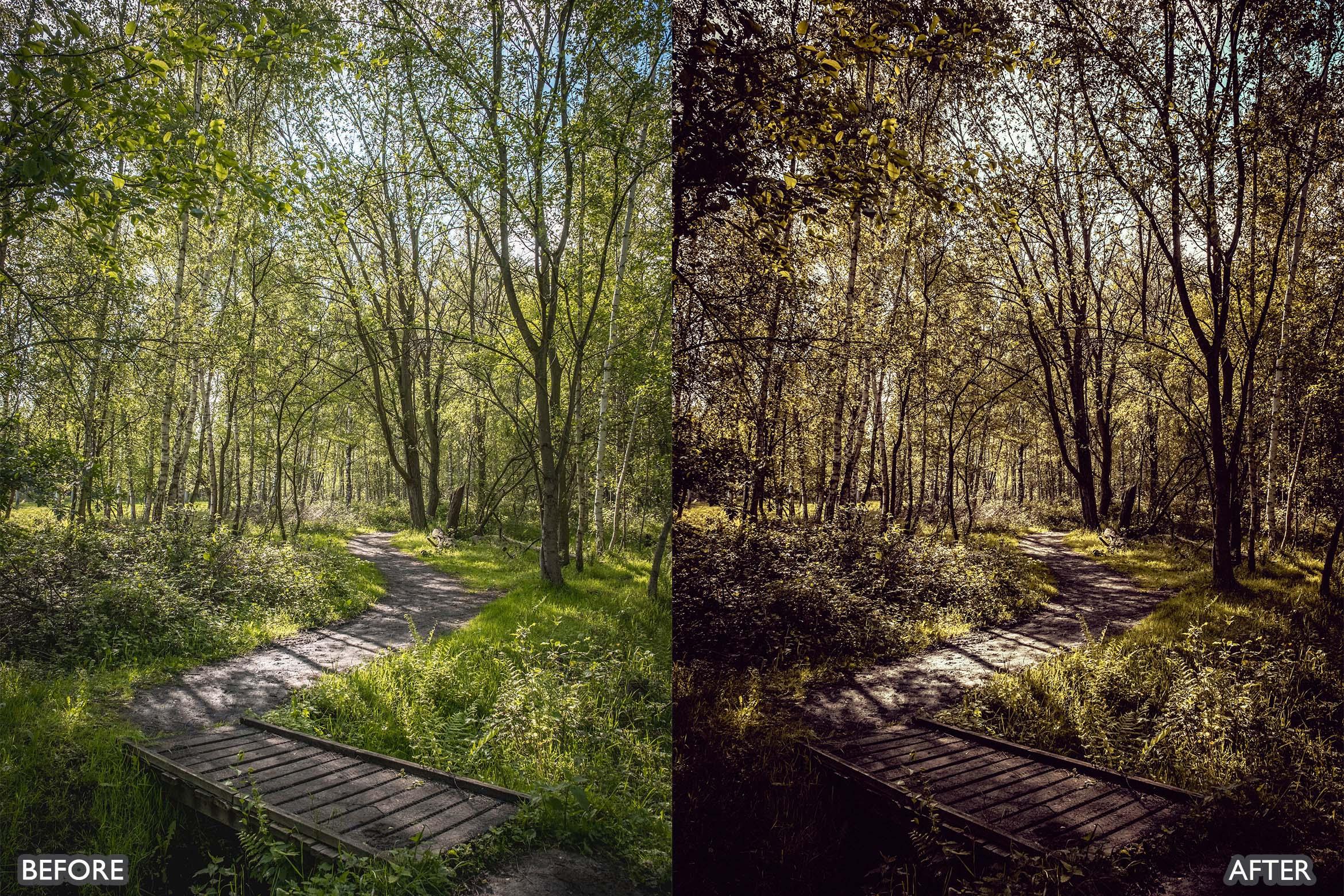Landscape and Nature Dark Green Lightroom Presets - Lightroom Presets - by AAA Presets