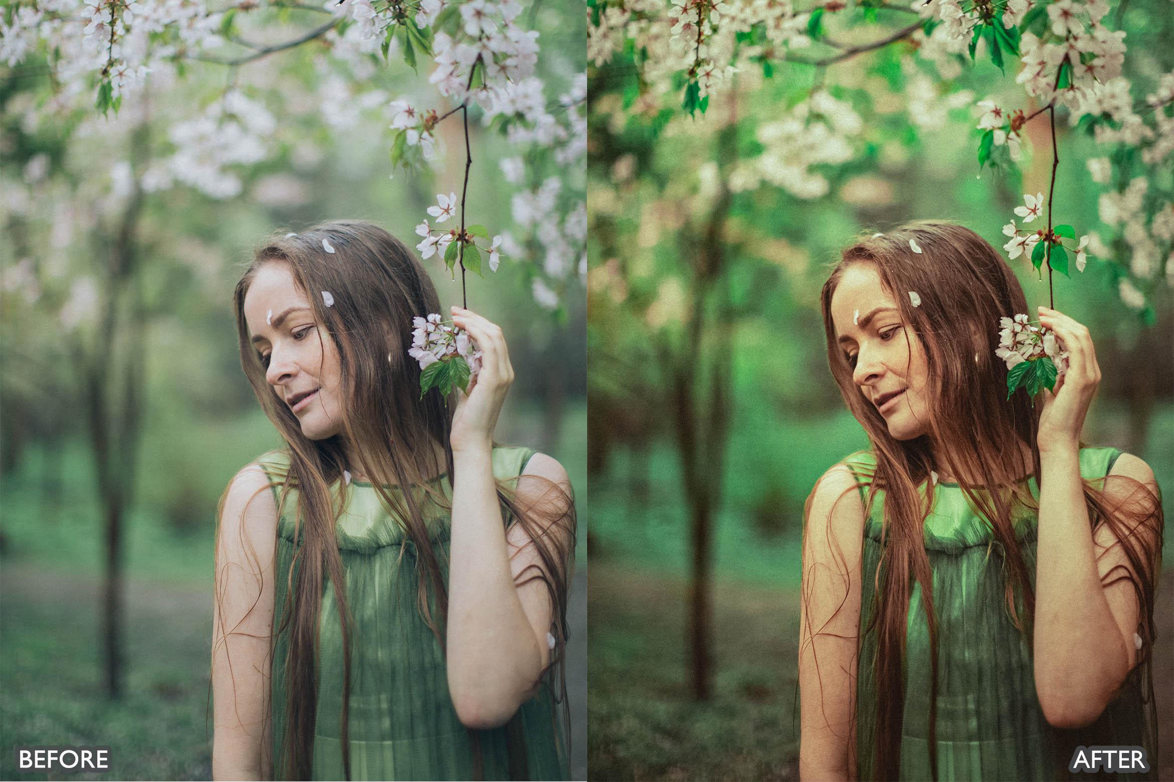 Landscape and Nature Green Lightroom Presets - Lightroom Presets - by AAA Presets