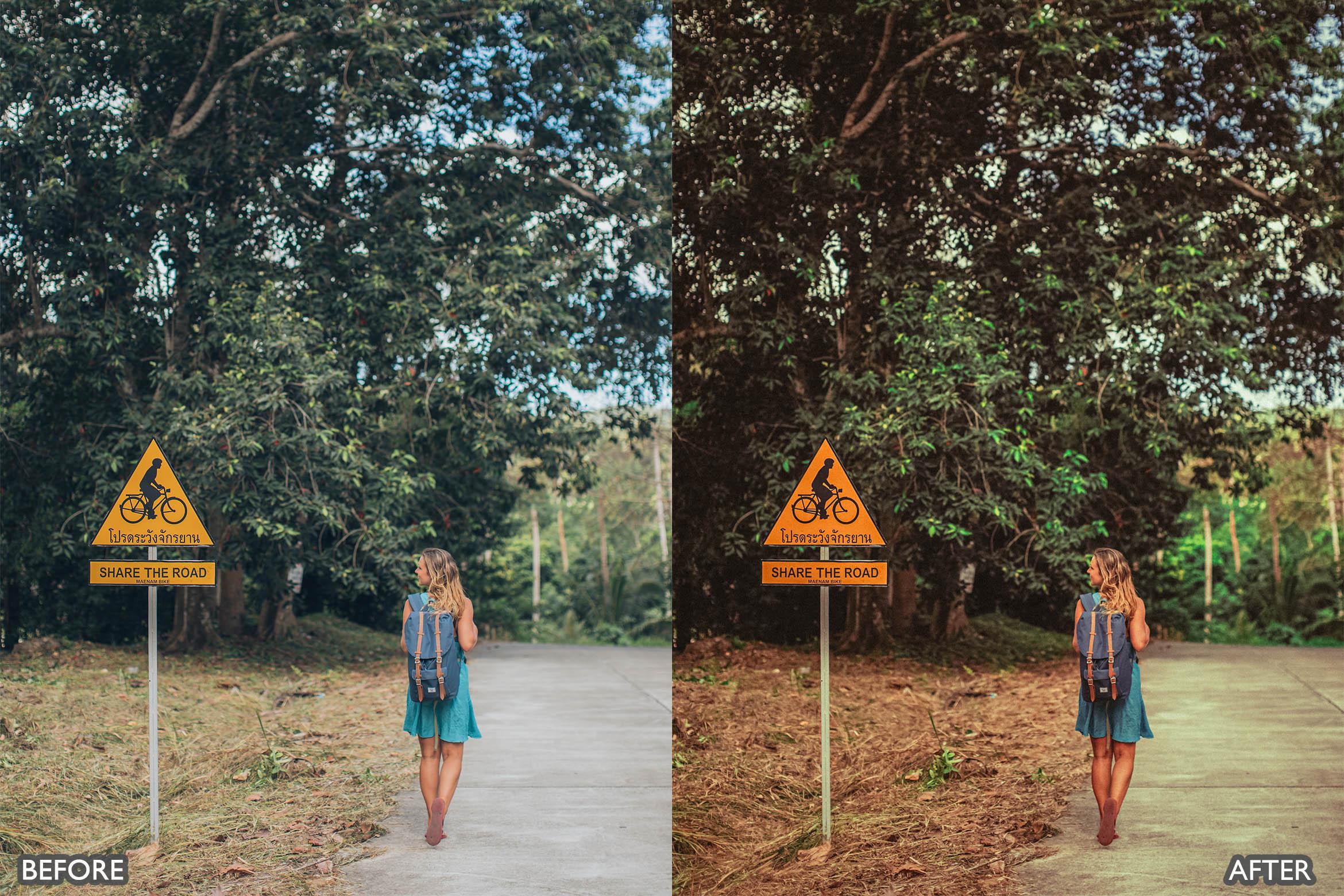 Landscape and Nature Green Lightroom Presets - Lightroom Presets - by AAA Presets