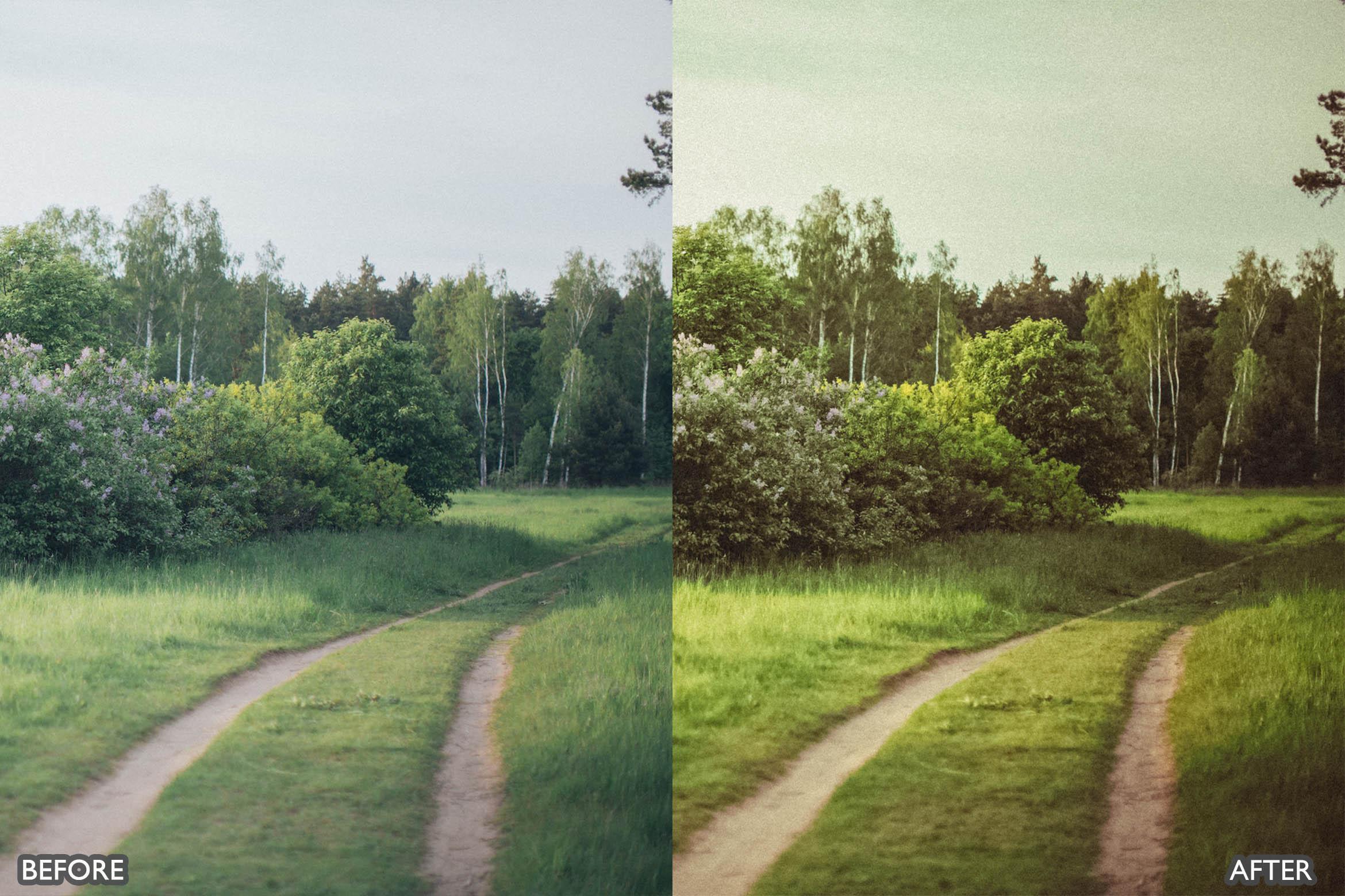 Landscape and Nature Green Lightroom Presets - Lightroom Presets - by AAA Presets