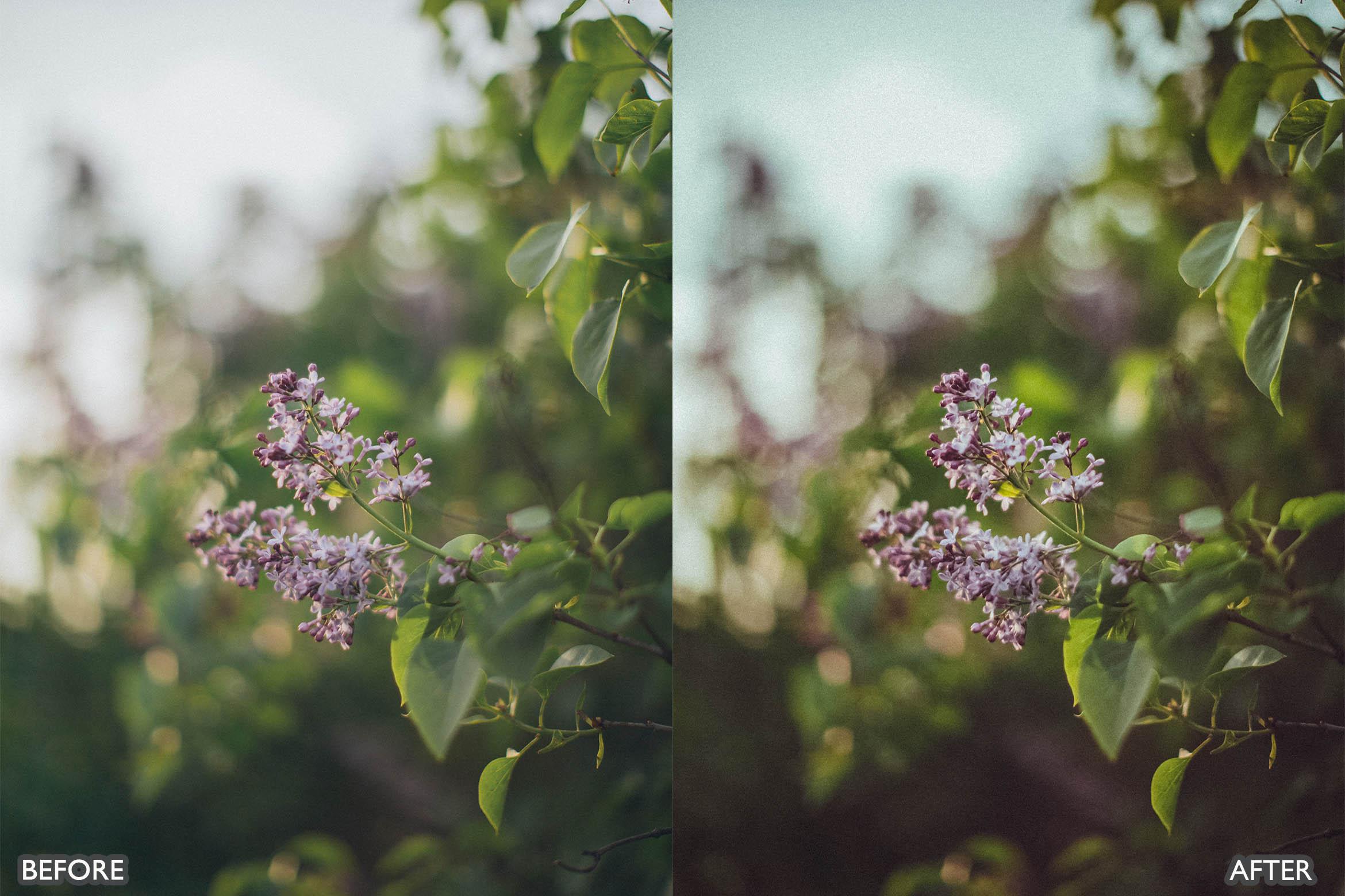 Landscape and Nature Green Lightroom Presets - Lightroom Presets - by AAA Presets