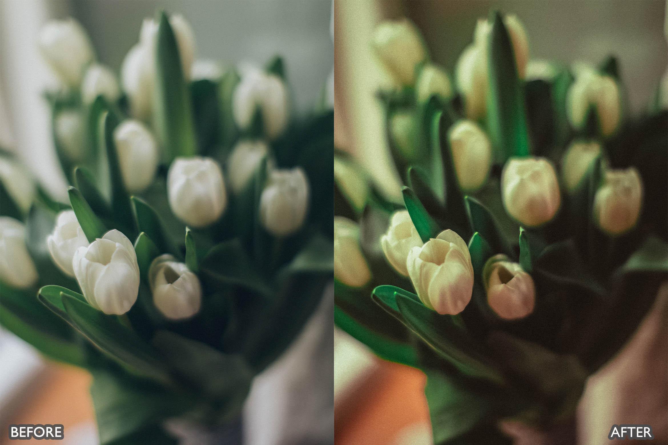 Landscape and Nature Green Lightroom Presets - Lightroom Presets - by AAA Presets