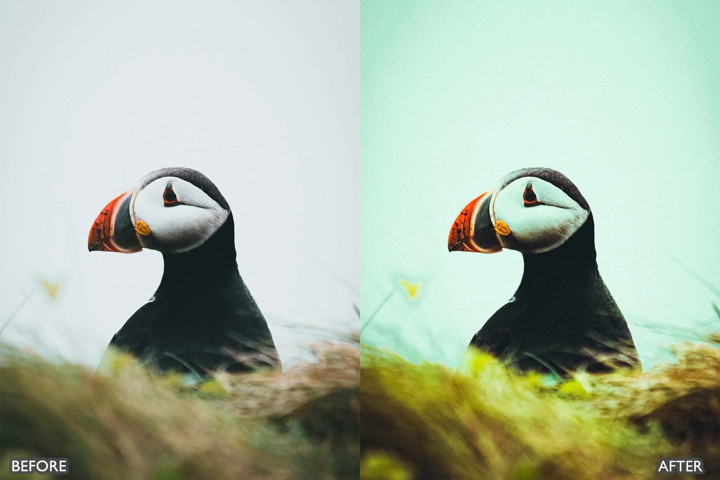 Landscape and Nature Photography Lightroom Presets - Lightroom Presets - by AAA Presets