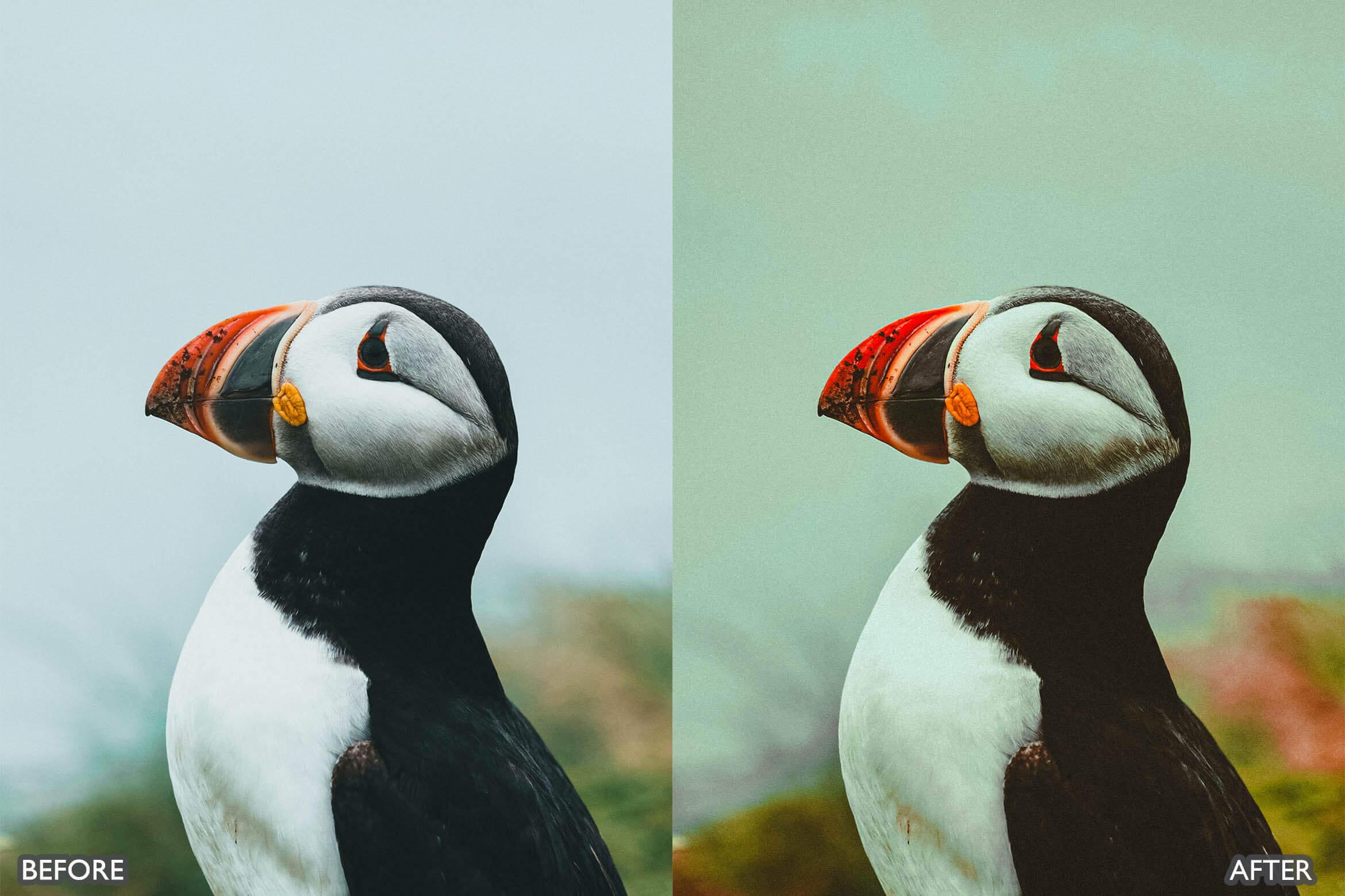 Landscape and Nature Photography Lightroom Presets - Lightroom Presets - by AAA Presets