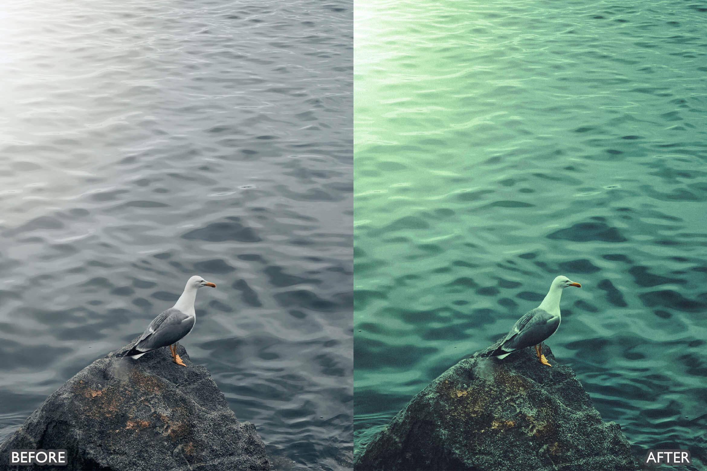 Landscape and Nature Photography Lightroom Presets - Lightroom Presets - by AAA Presets