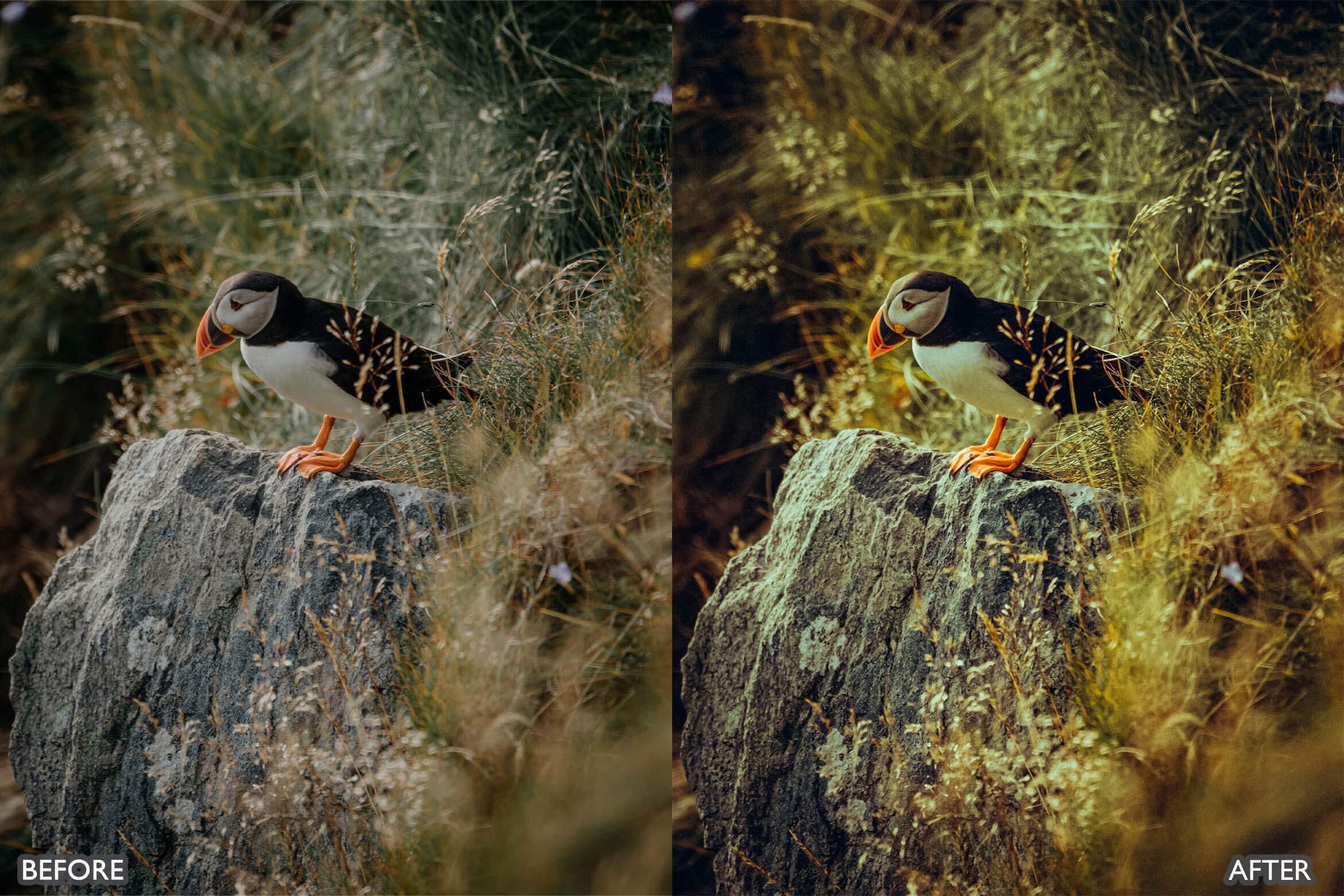 Landscape and Nature Photography Lightroom Presets - Lightroom Presets - by AAA Presets