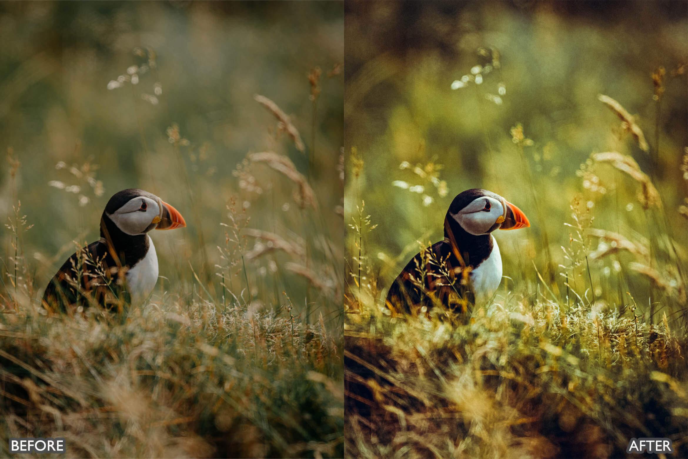 Landscape and Nature Photography Lightroom Presets - Lightroom Presets - by AAA Presets