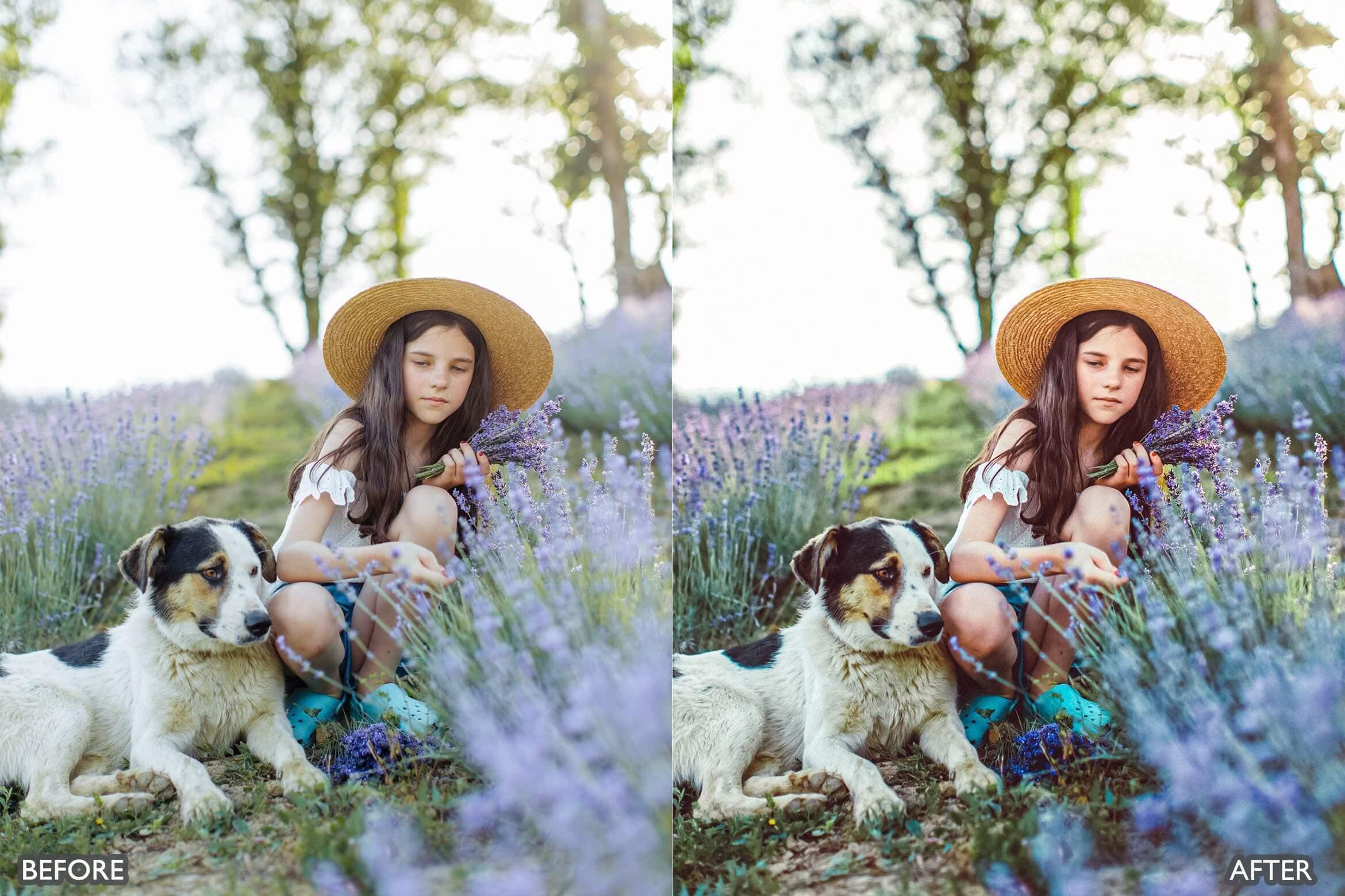 Lightroom Presets for Cinematic & Portrait Photography - Lightroom Presets - by AAA Presets