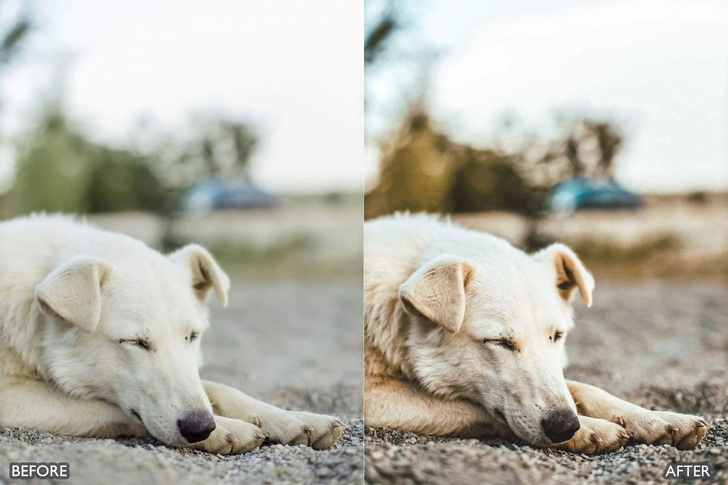 Lightroom Presets for Cinematic & Portrait Photography - Lightroom Presets - by AAA Presets