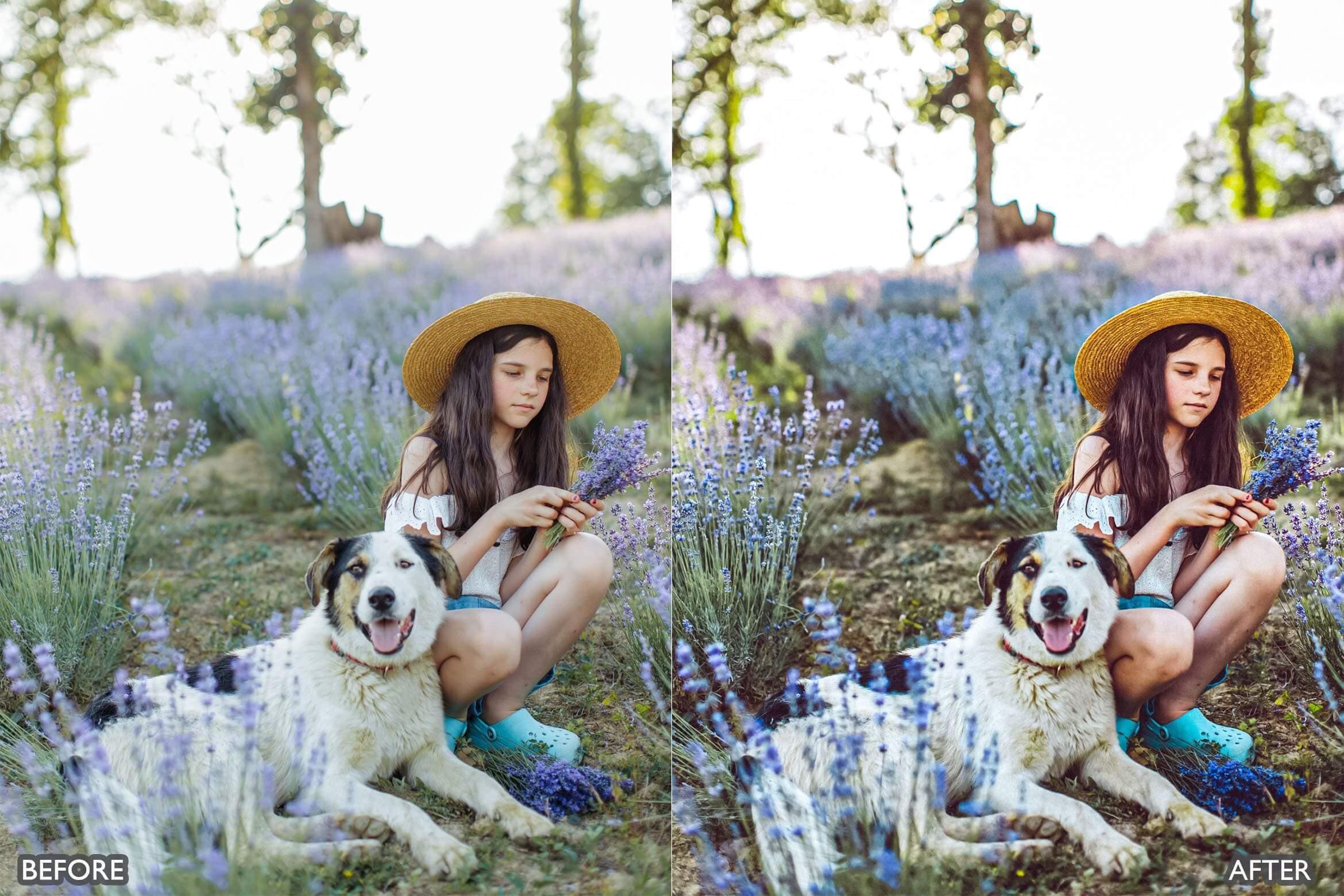 Lightroom Presets for Cinematic & Portrait Photography - Lightroom Presets - by AAA Presets
