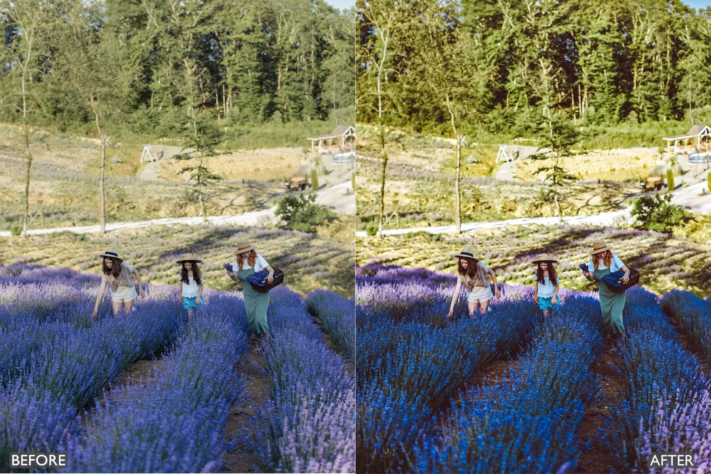 Lightroom Presets for Cinematic & Portrait Photography - Lightroom Presets - by AAA Presets