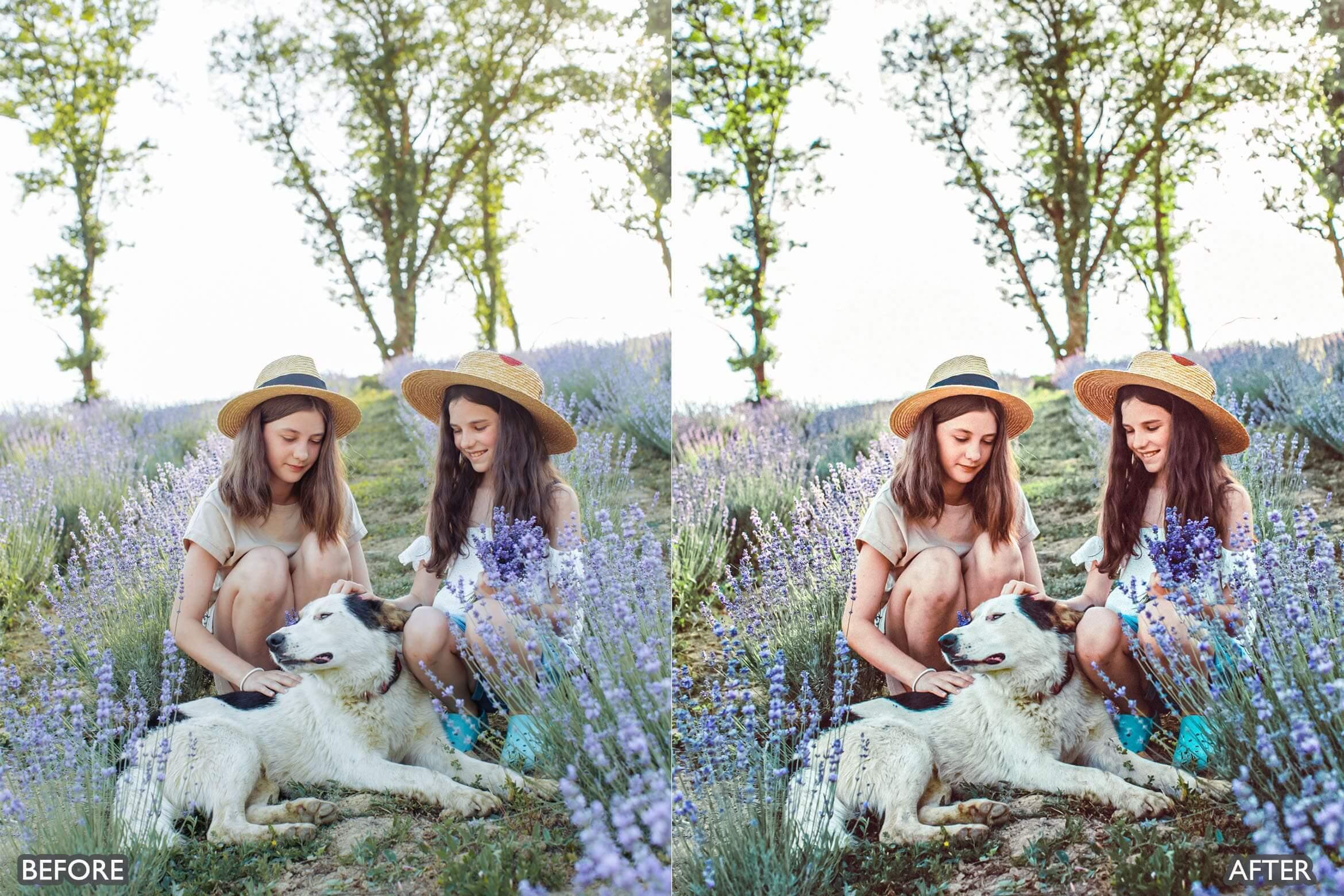 Lightroom Presets for Cinematic & Portrait Photography - Lightroom Presets - by AAA Presets