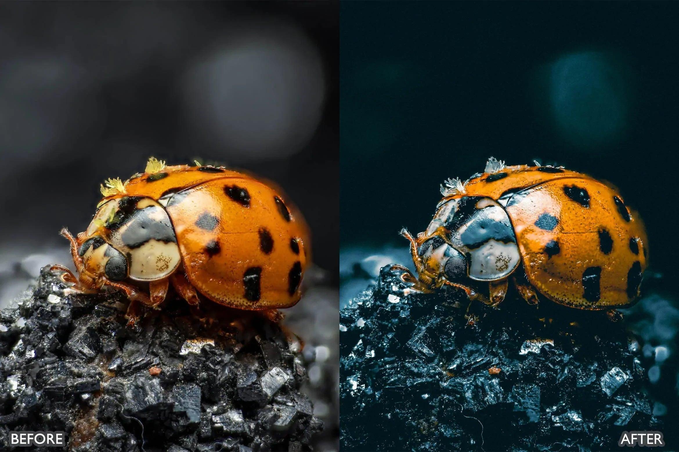 Lightroom Presets For Macro Photos - Lightroom Presets - by AAA Presets