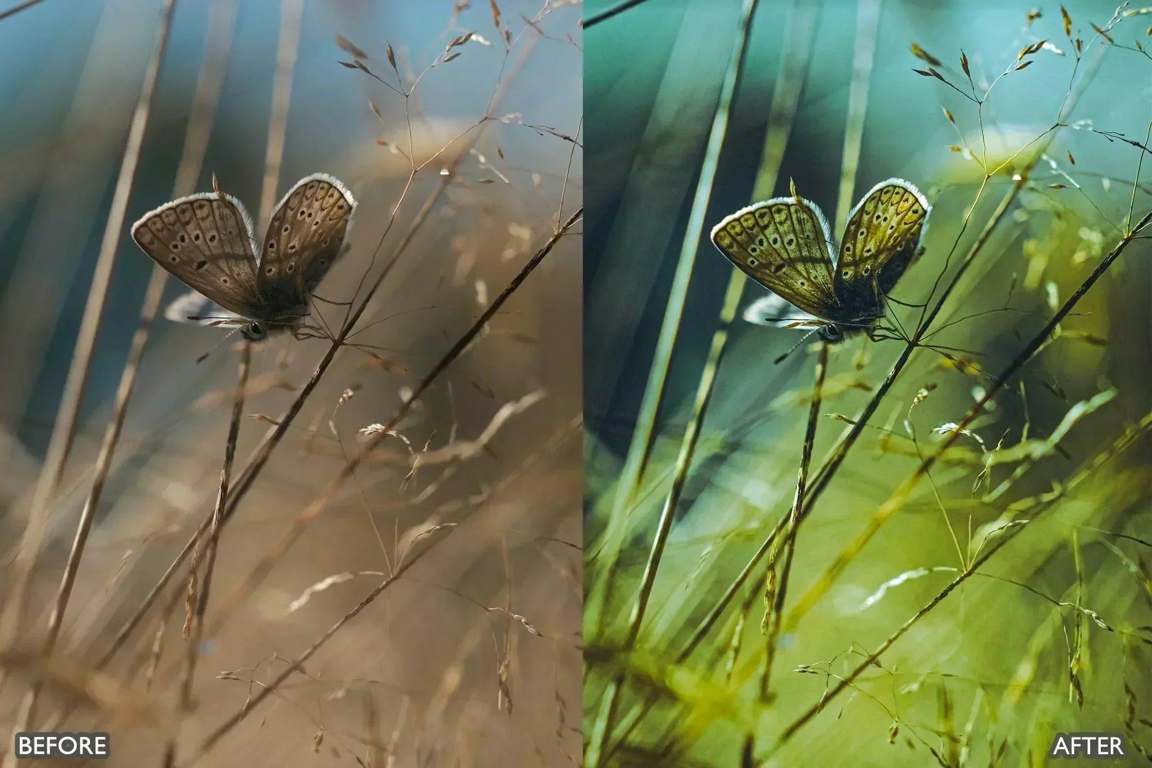 Lightroom Presets For Macro Photos - Lightroom Presets - by AAA Presets