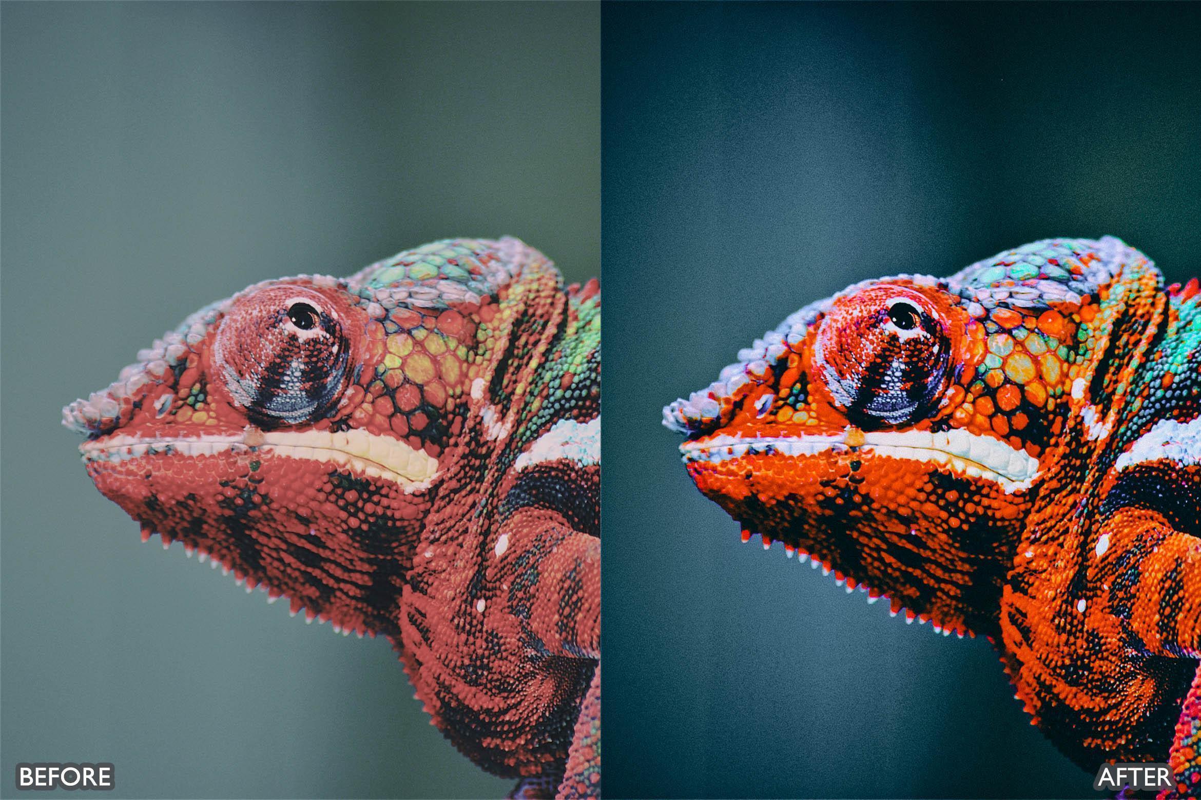 Lightroom Presets For Macro Photos - Lightroom Presets - by AAA Presets
