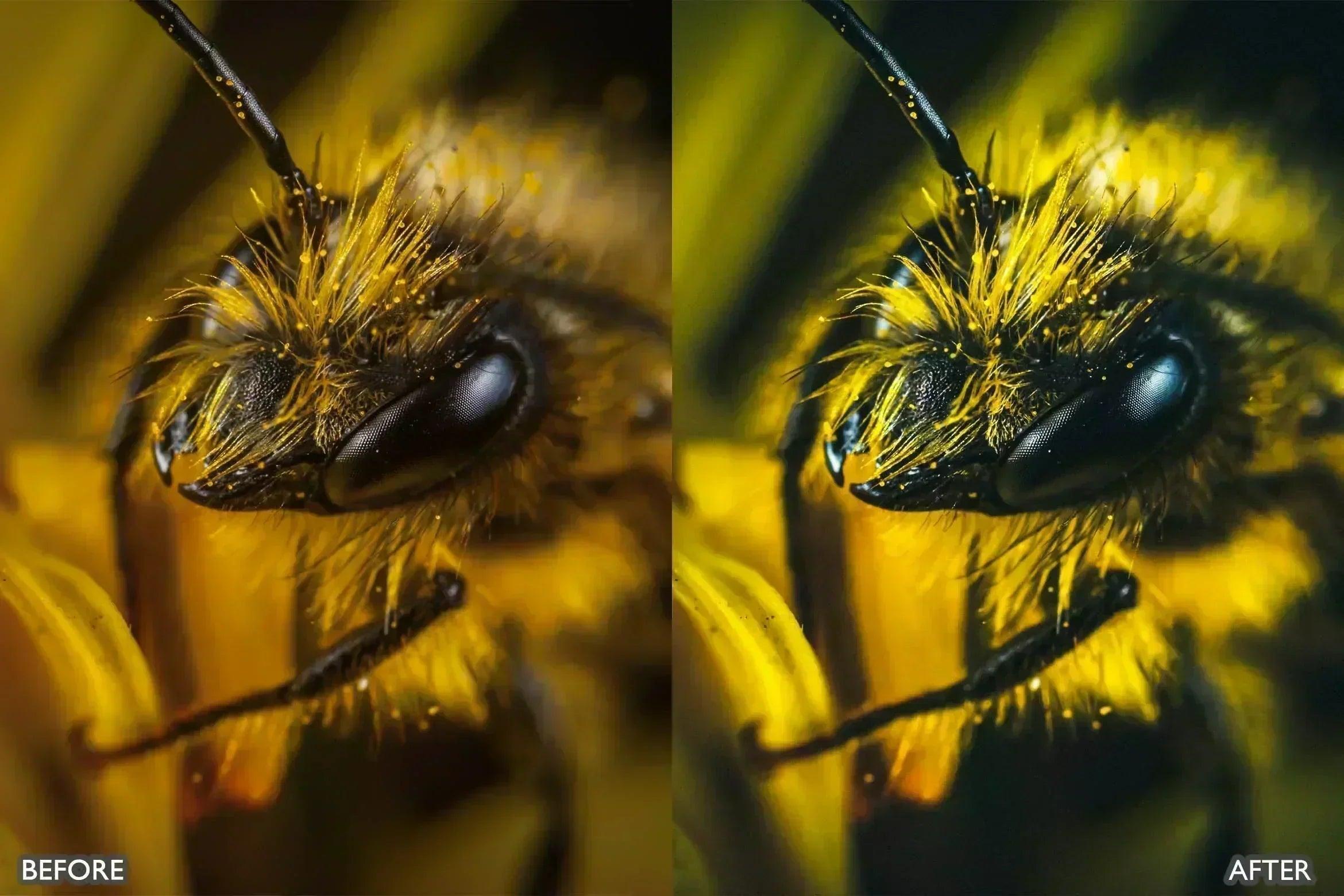 Lightroom Presets For Macro Photos - Lightroom Presets - by AAA Presets